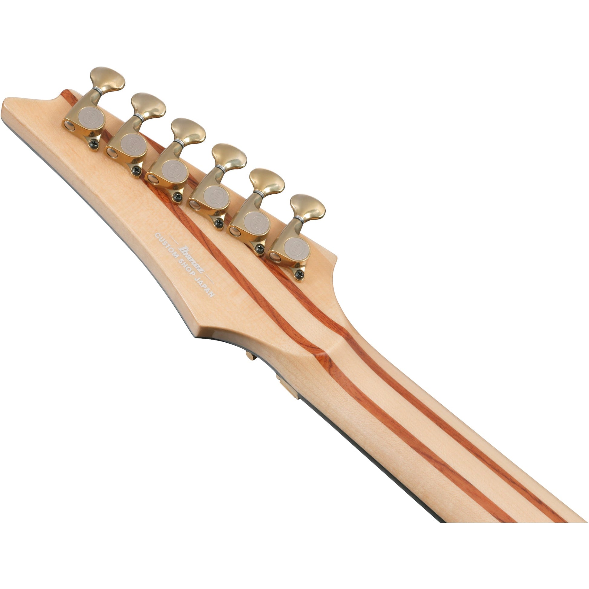Ibanez IV2RG RG Visions 6-String Electric Guitar