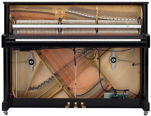 Yamaha B3TC3 PE TransAcoustic upright