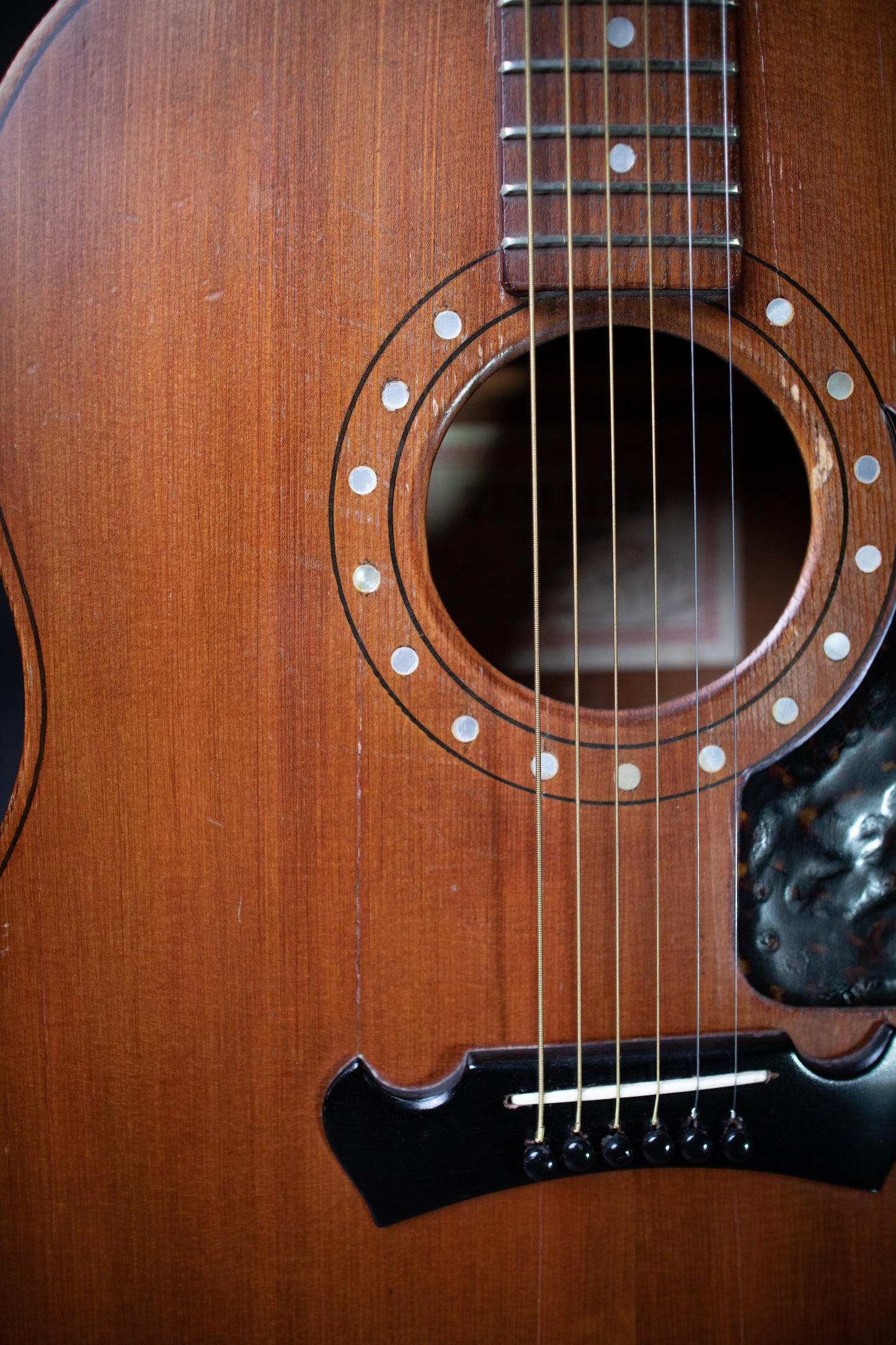 1979 Zemaitis Victor Acoustic Guitar - Red Stain