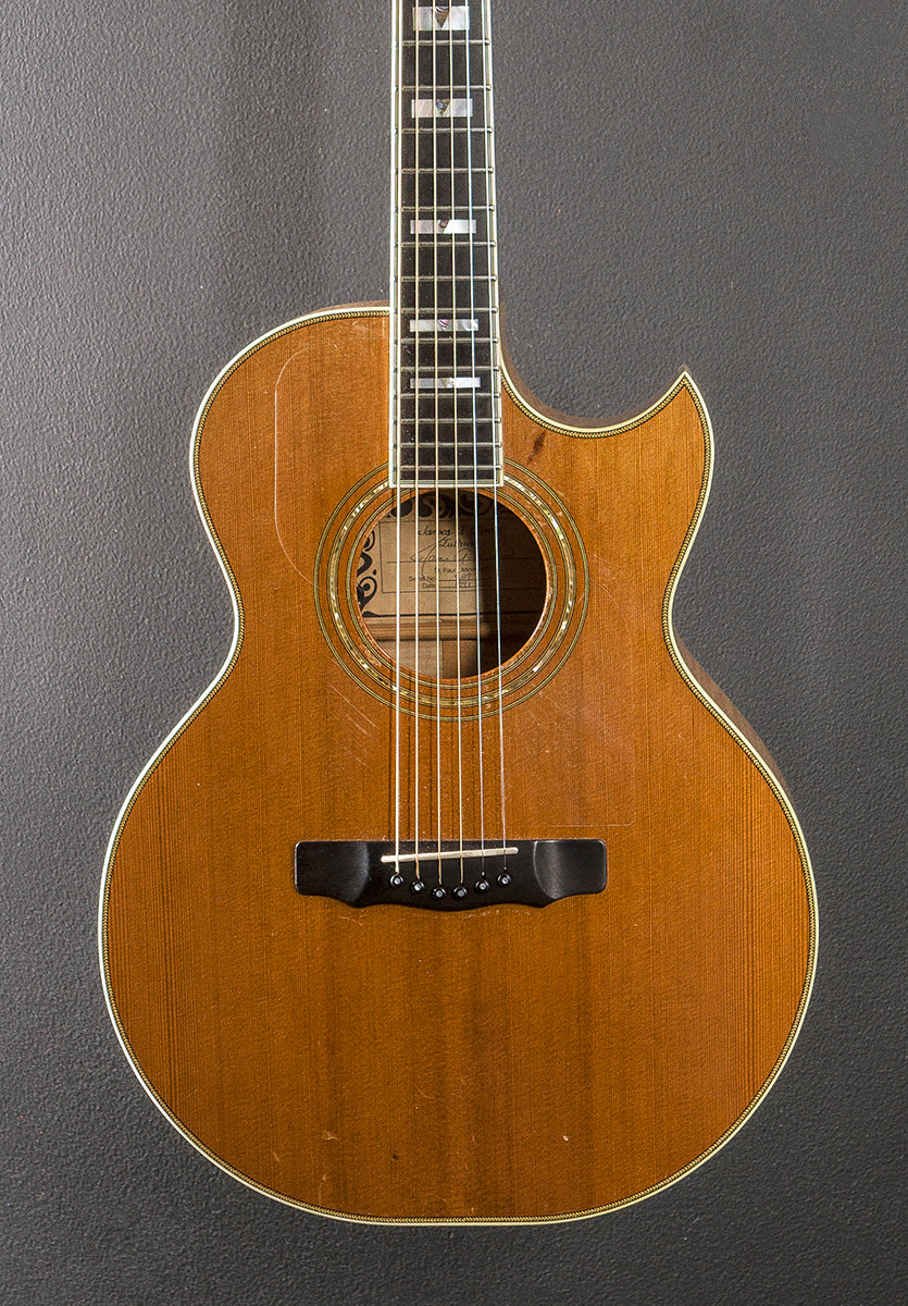SJ Cutaway '91
