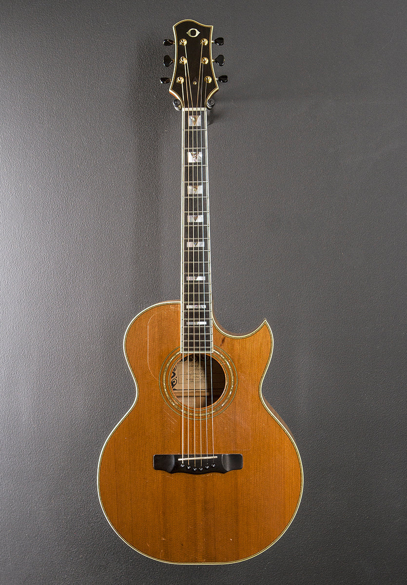 SJ Cutaway '91