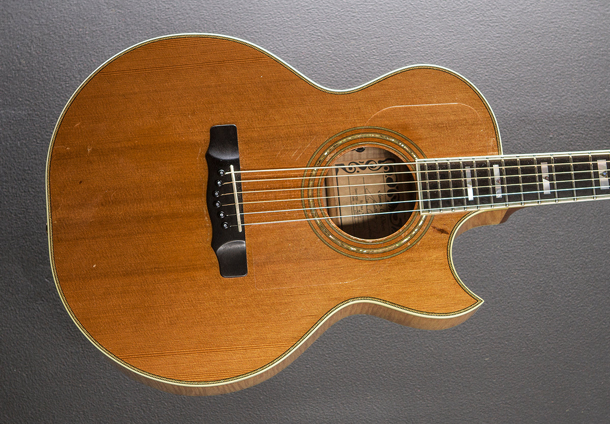 SJ Cutaway '91