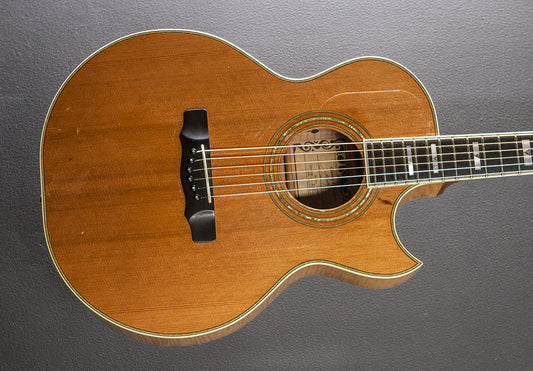 SJ Cutaway '91