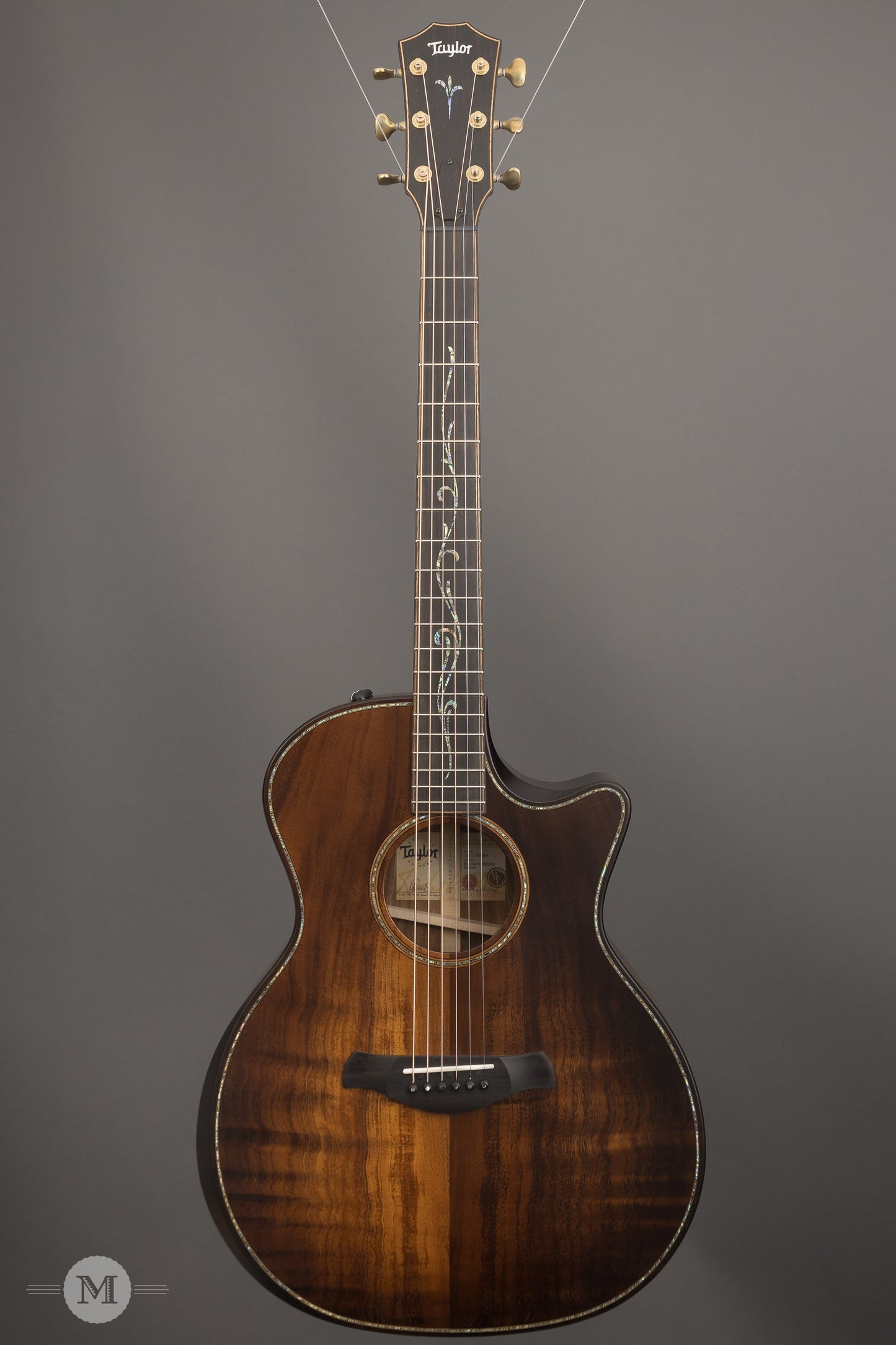 Taylor Acoustic Guitars - K24ce Builder's Edition