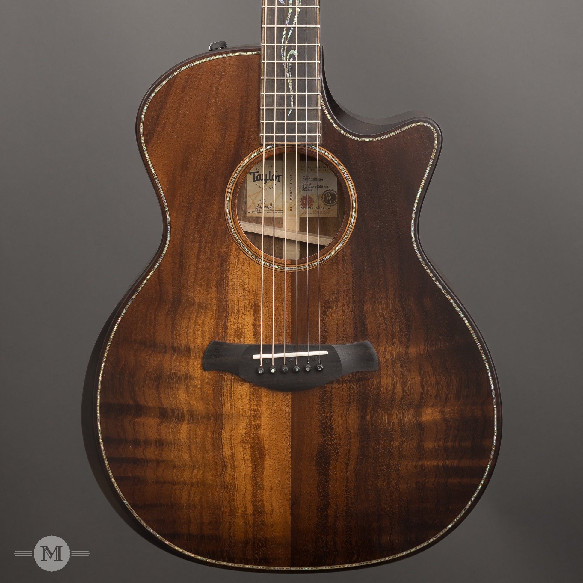 Taylor Acoustic Guitars - K24ce Builder's Edition