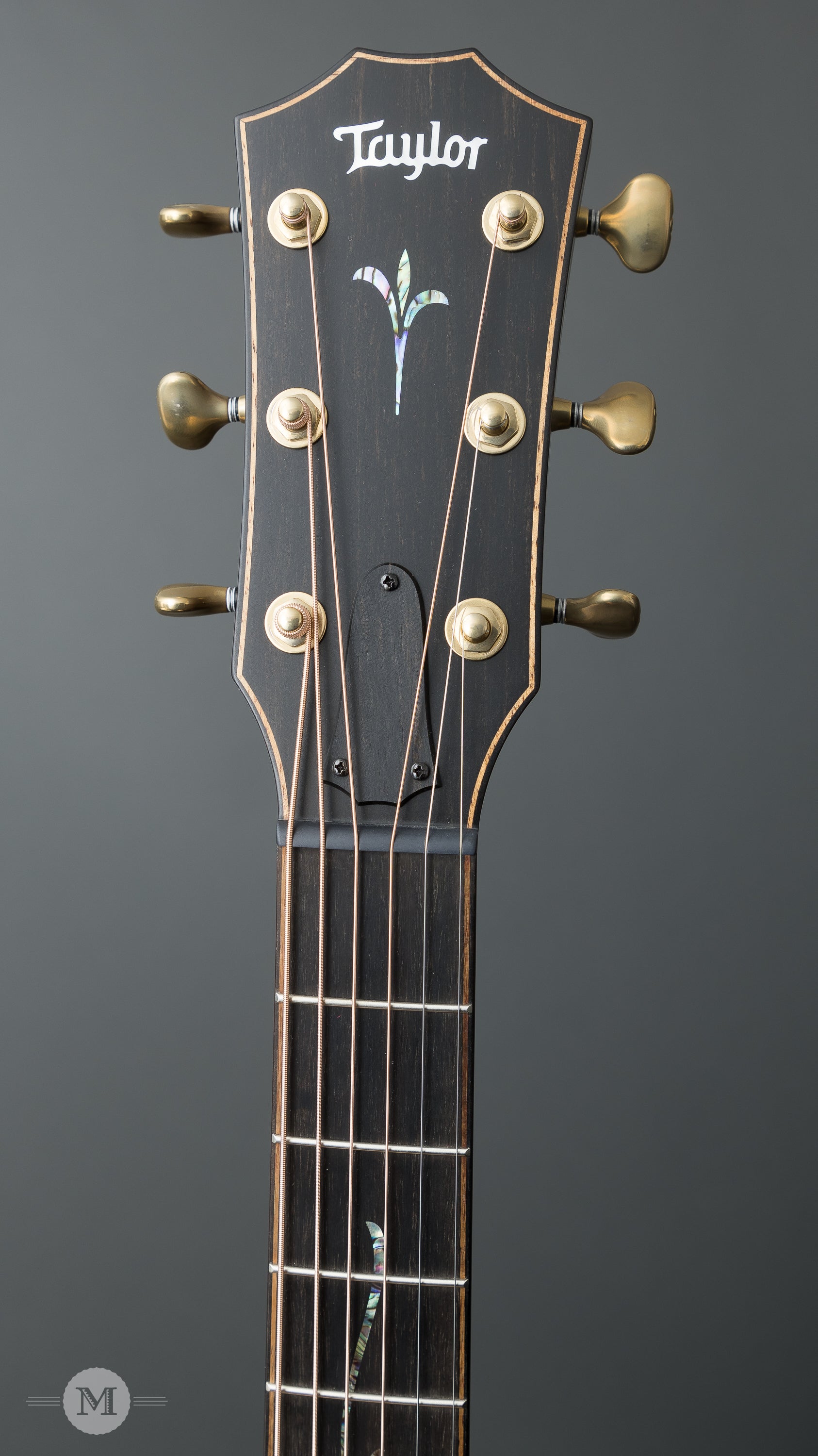 Taylor Acoustic Guitars - K24ce Builder's Edition