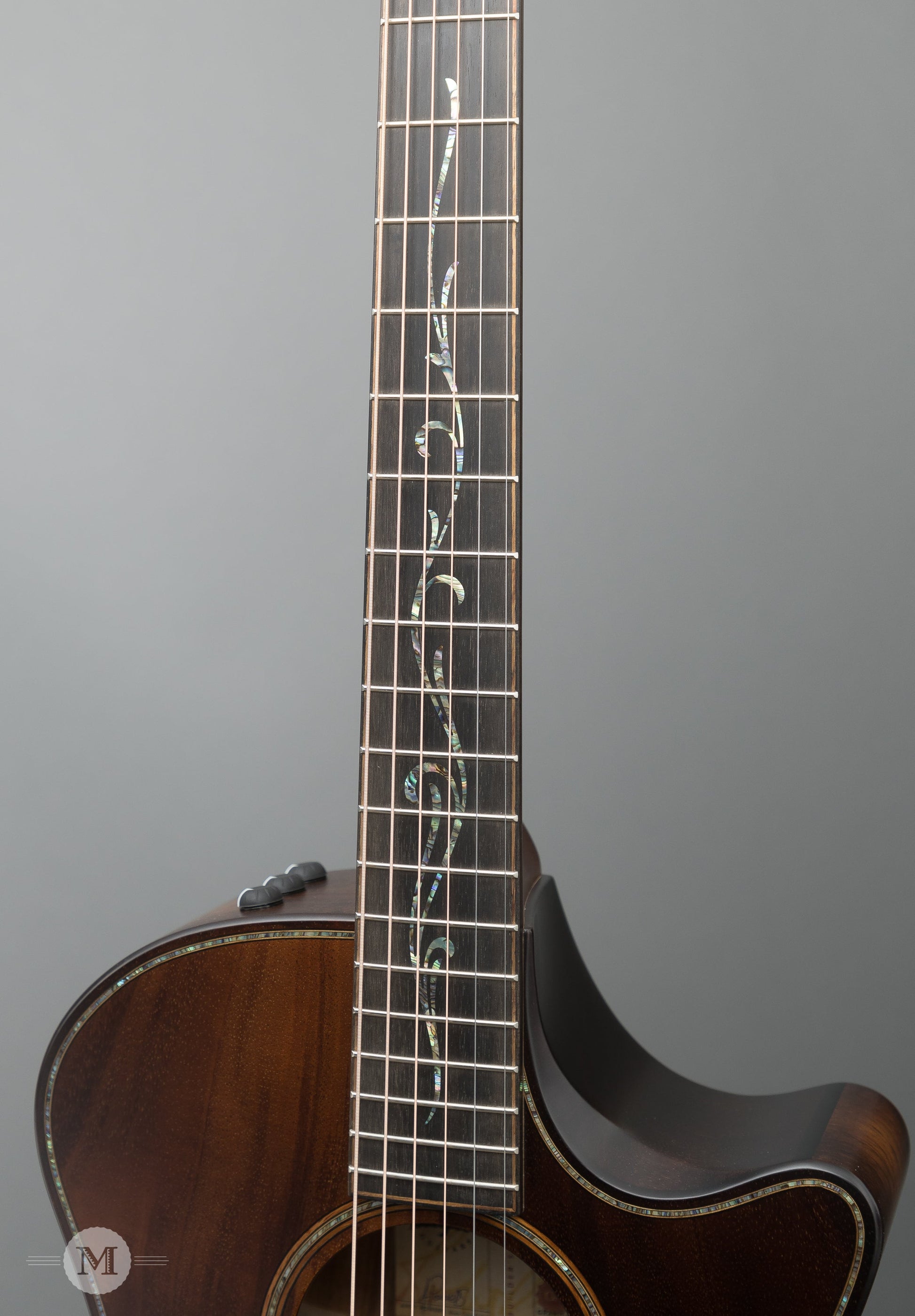 Taylor Acoustic Guitars - K24ce Builder's Edition