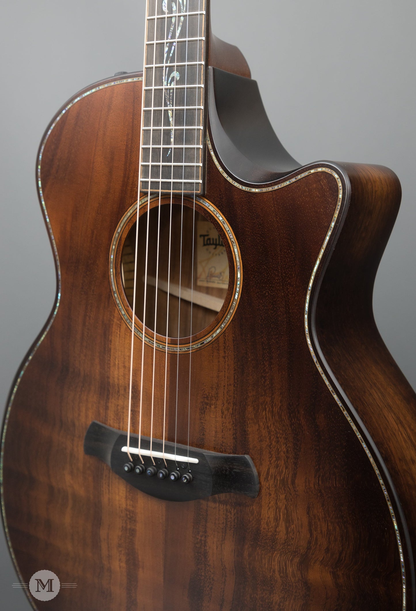 Taylor Acoustic Guitars - K24ce Builder's Edition