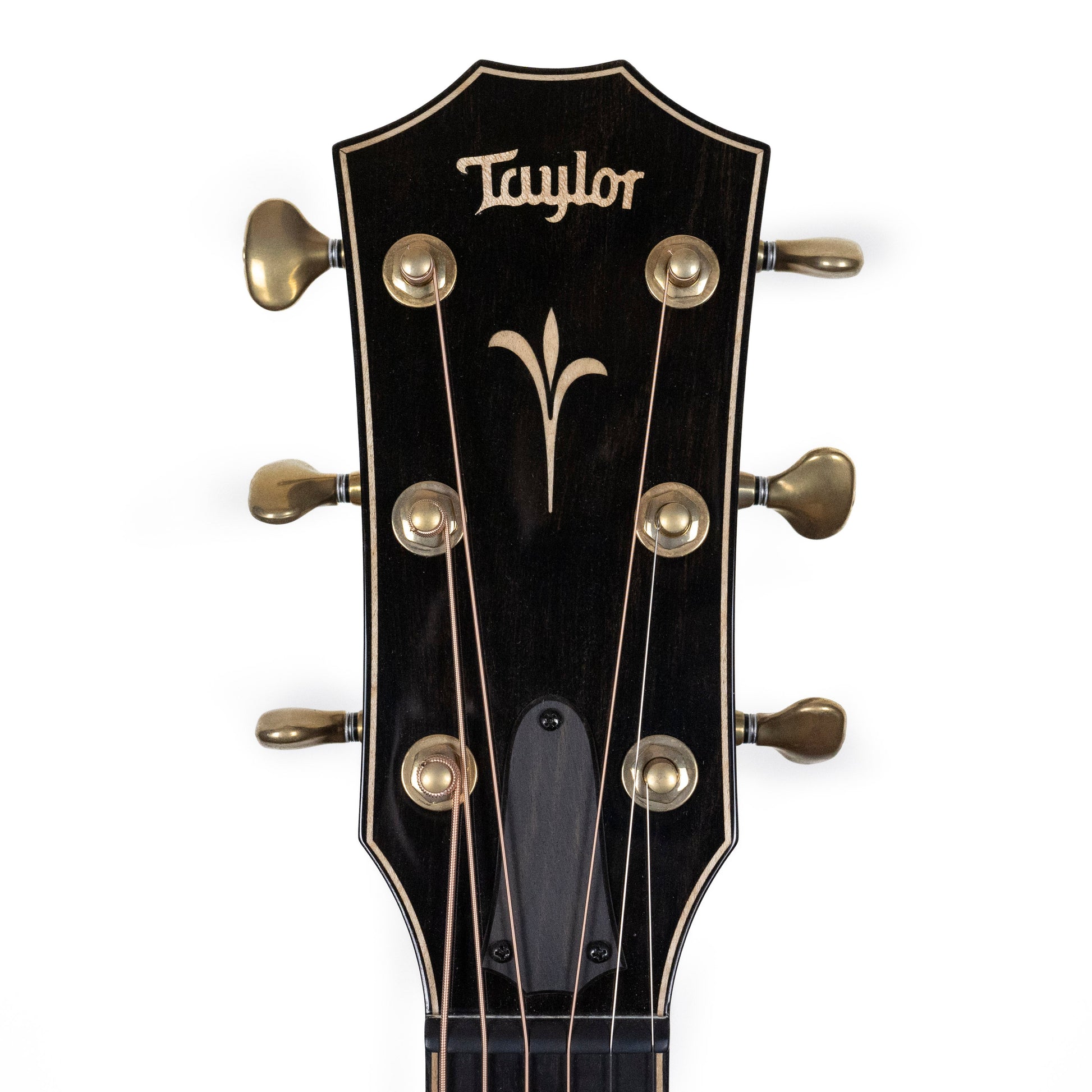 Taylor K24ce