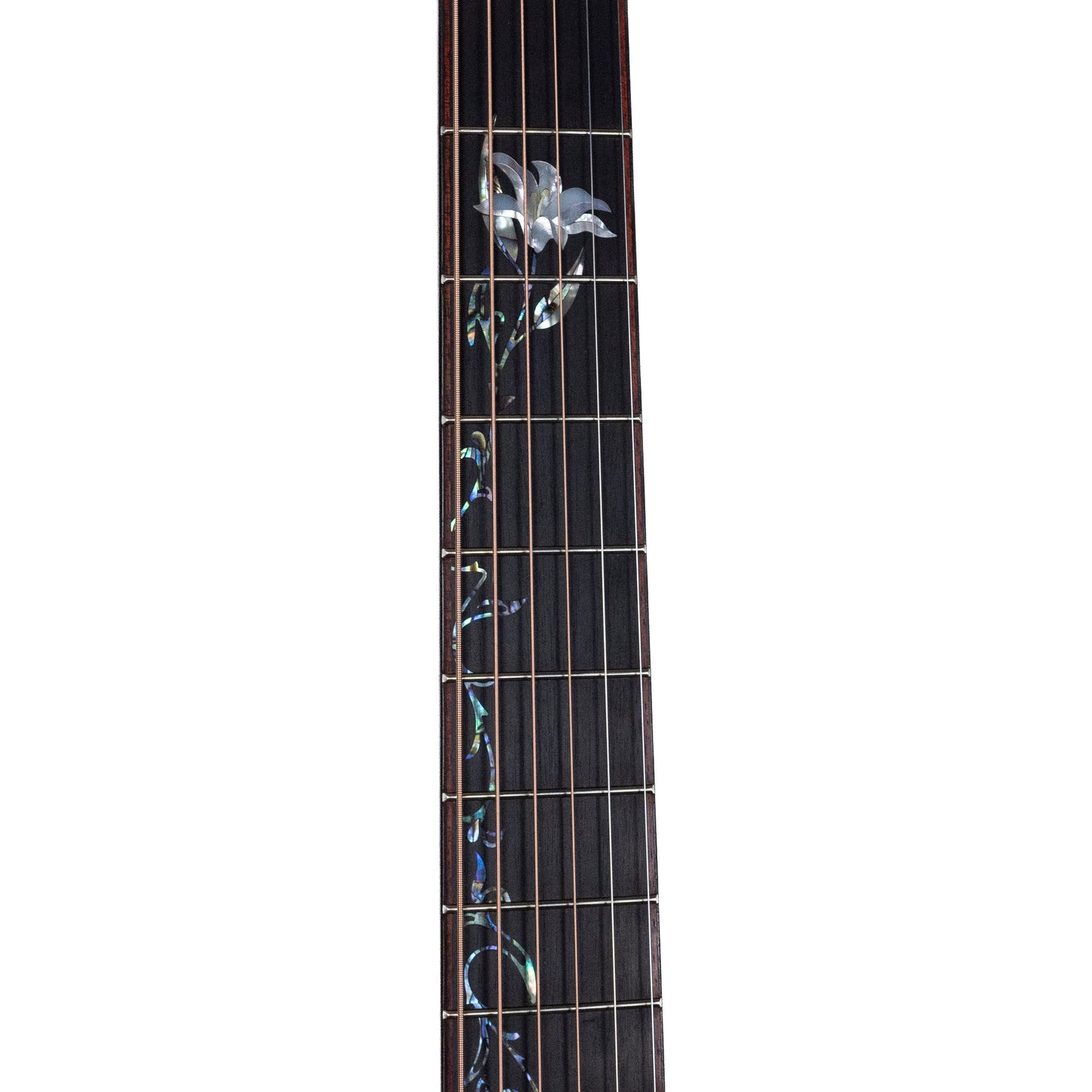 Taylor Custom #35, Lutz Spruce/Honduran Rosewood