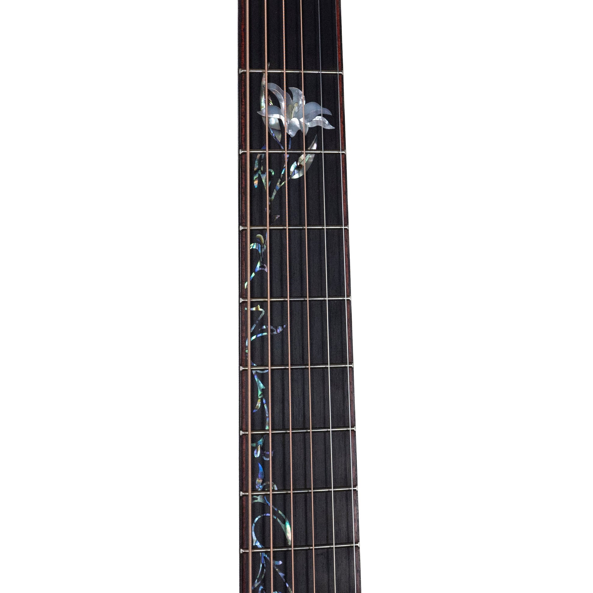 Taylor Custom #35, Lutz Spruce/Honduran Rosewood