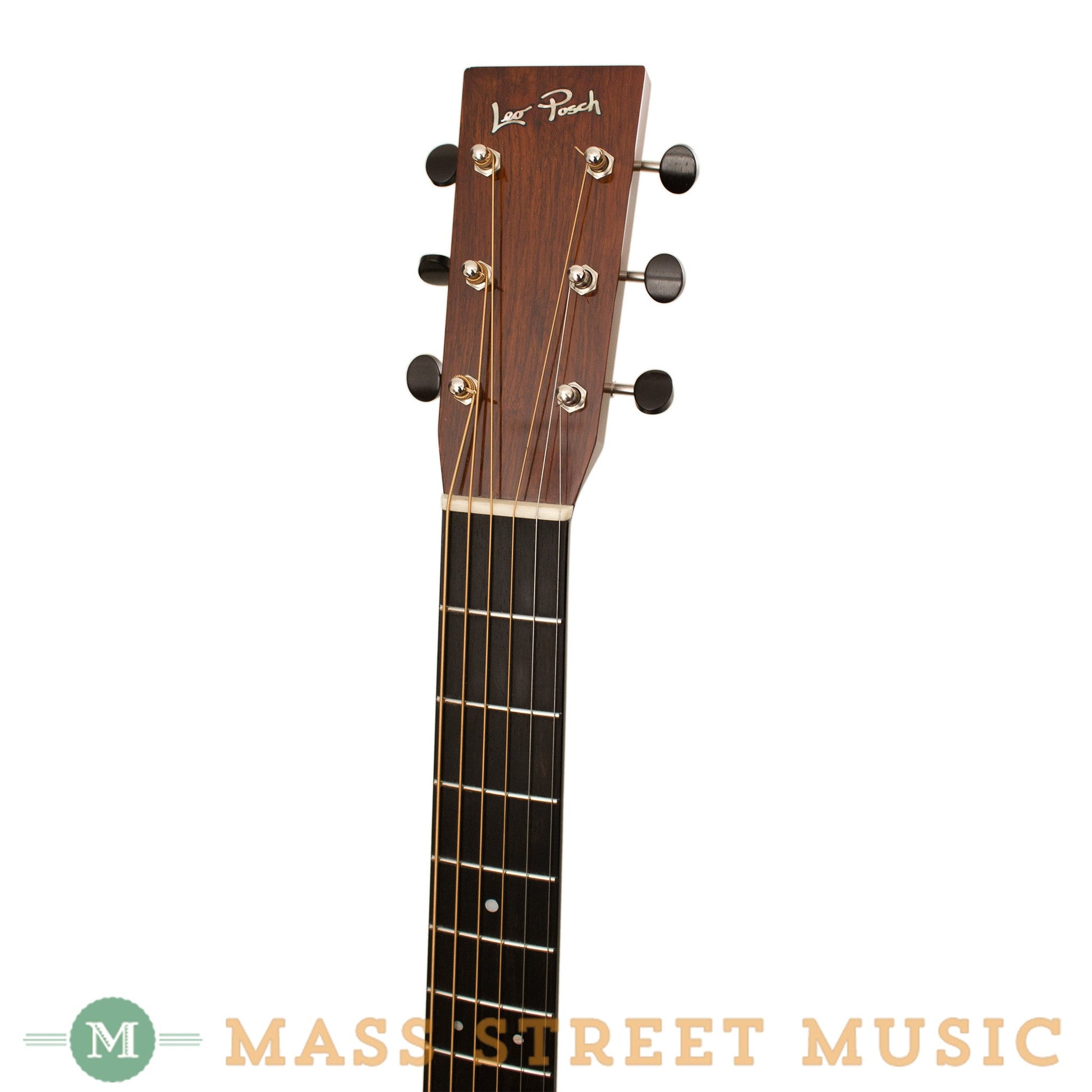 Leo Posch Acoustic Guitars - D-M
