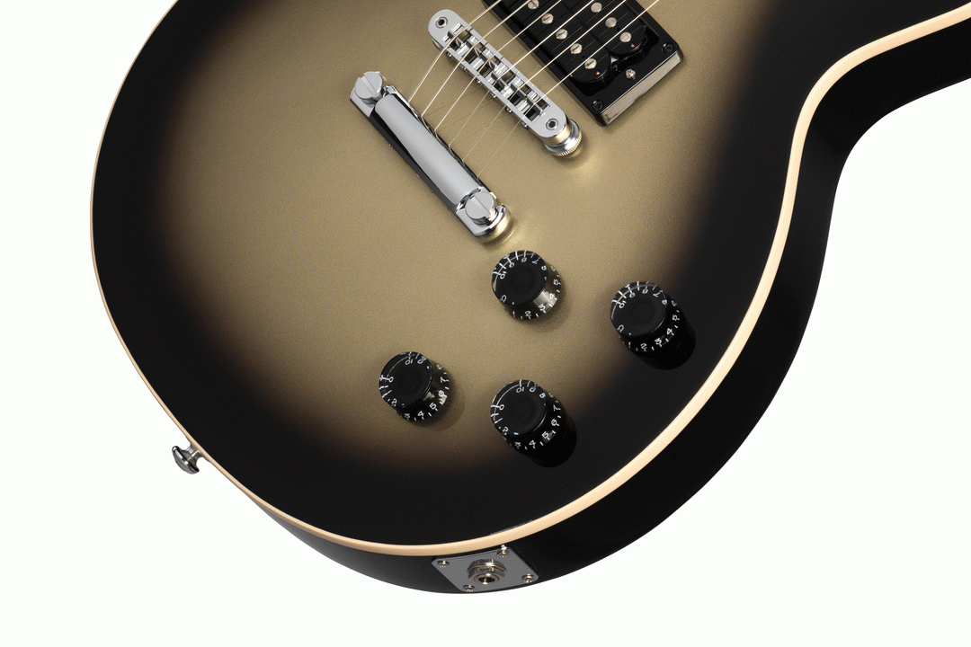 Gibson Adam Jones Les Paul Standard - Silverburst