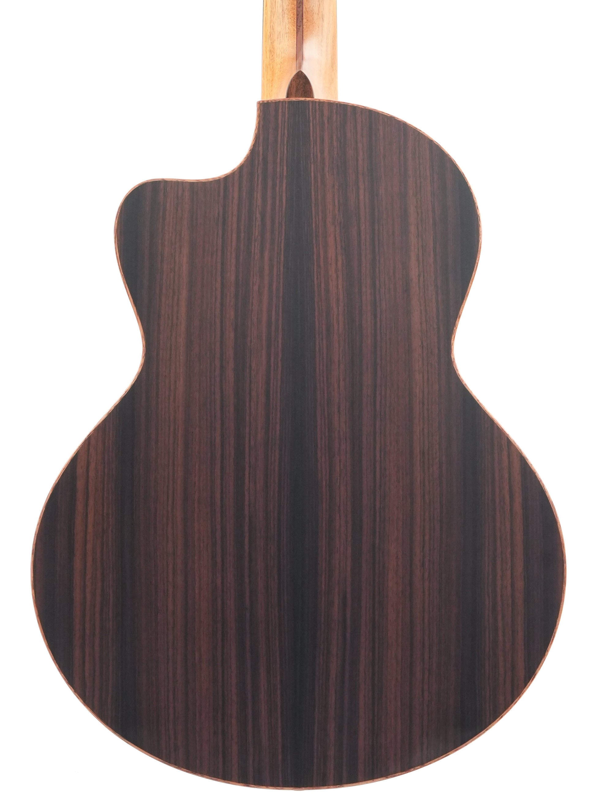 Lowden S25J Jazz Nylon Crossover