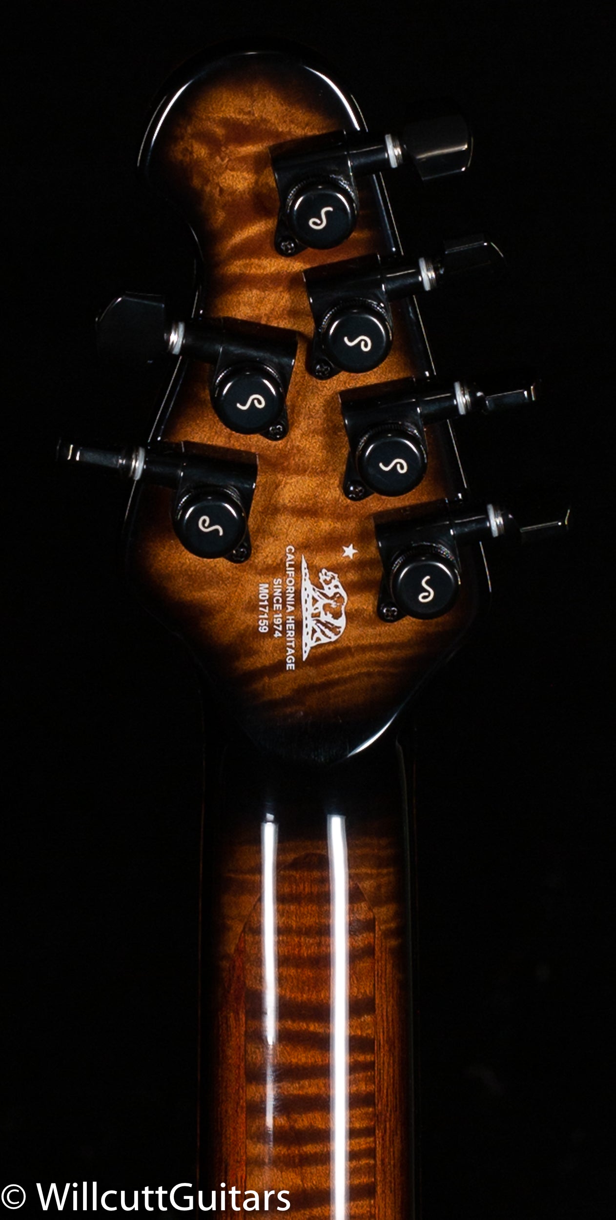 Ernie Ball Music Man Majesty Maple Top Spice Melange (159)