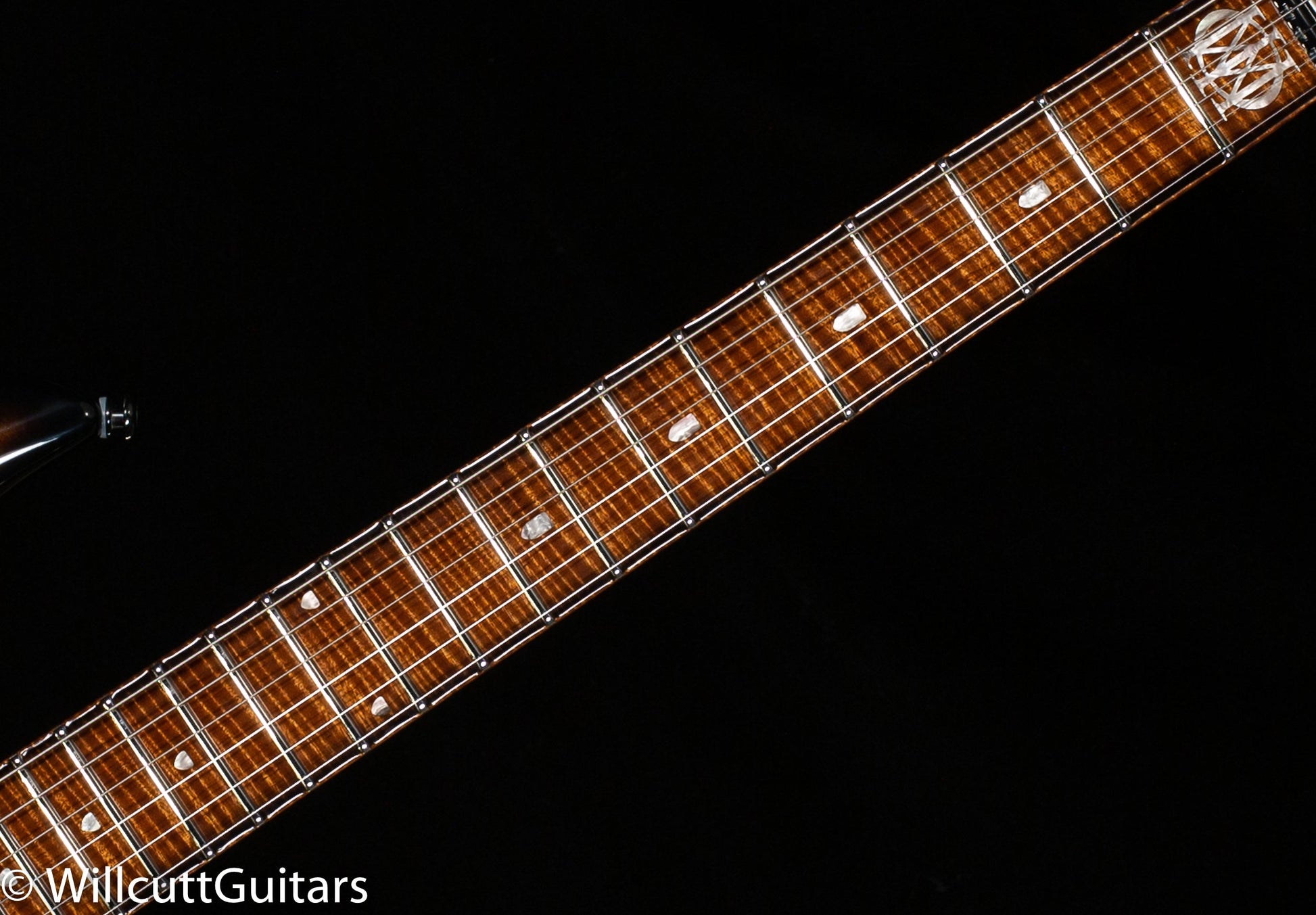 Ernie Ball Music Man Majesty Maple Top Spice Melange (159)