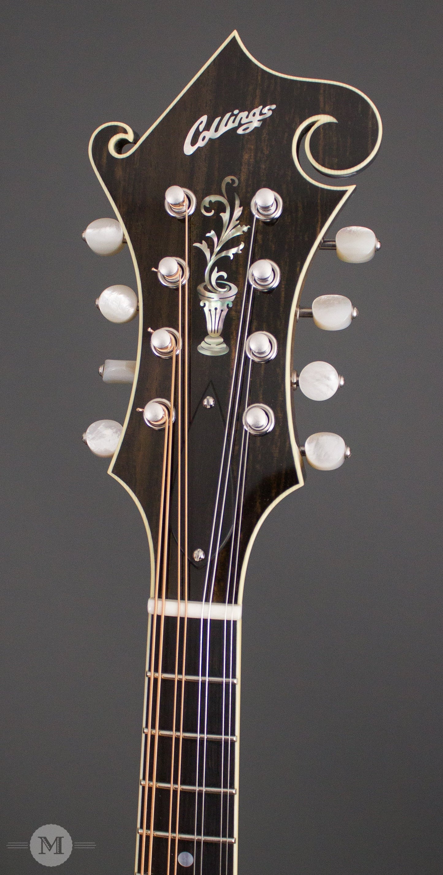 Collings Mandolins - MF5 - Cremona Burst