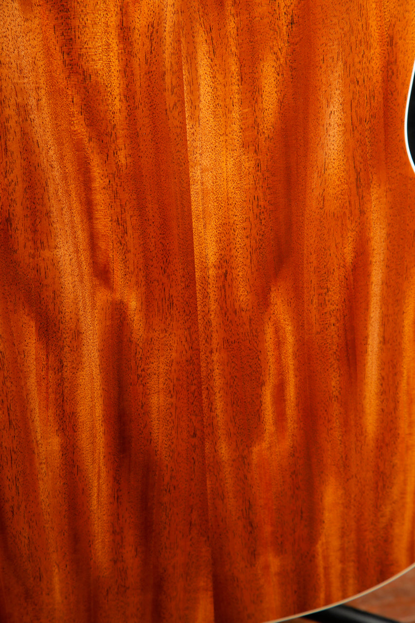Taylor Gold Label 517e Blacktop Spruce / Mahogany Acoustic-Electric Guitar