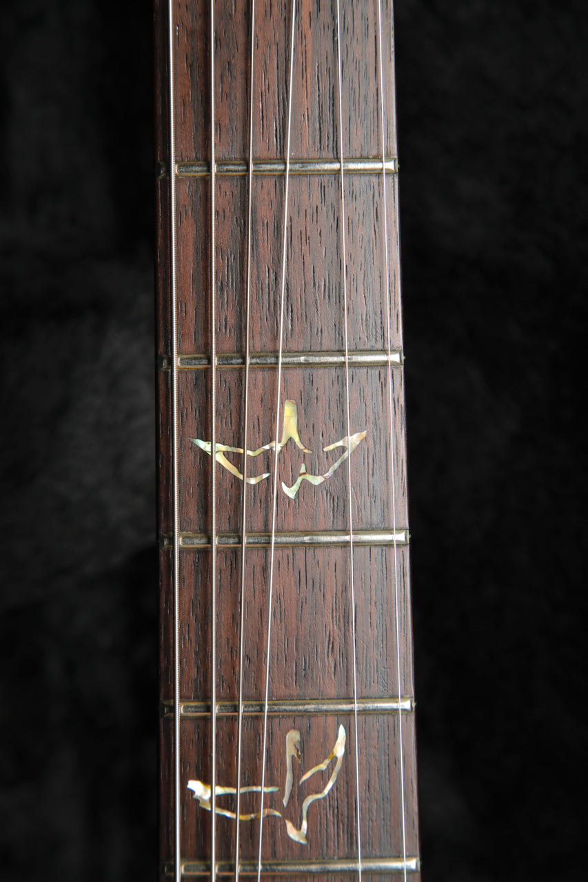 PRS Custom 24 10-Top Wood Library Rosewood Neck Charcoal Burst 2010 Pre-Owned