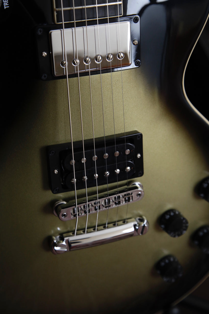 Gibson Les Paul Standard Adam Jones Silverburst Electric Guitar