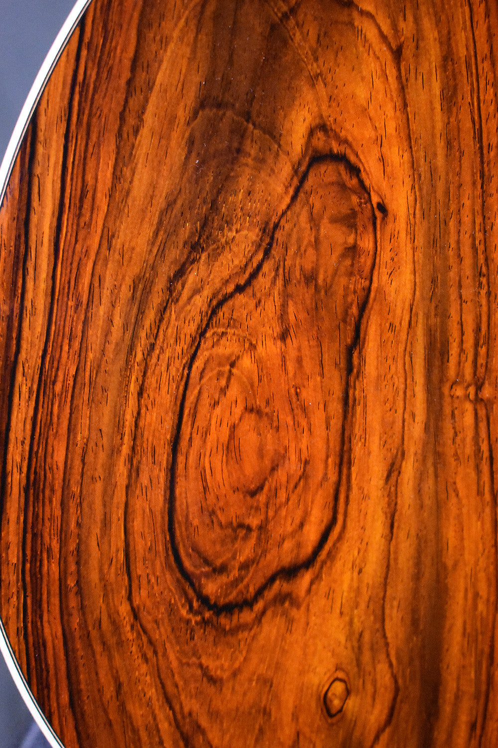 Martin Custom Shop OM-28 Cocobolo "Coco"