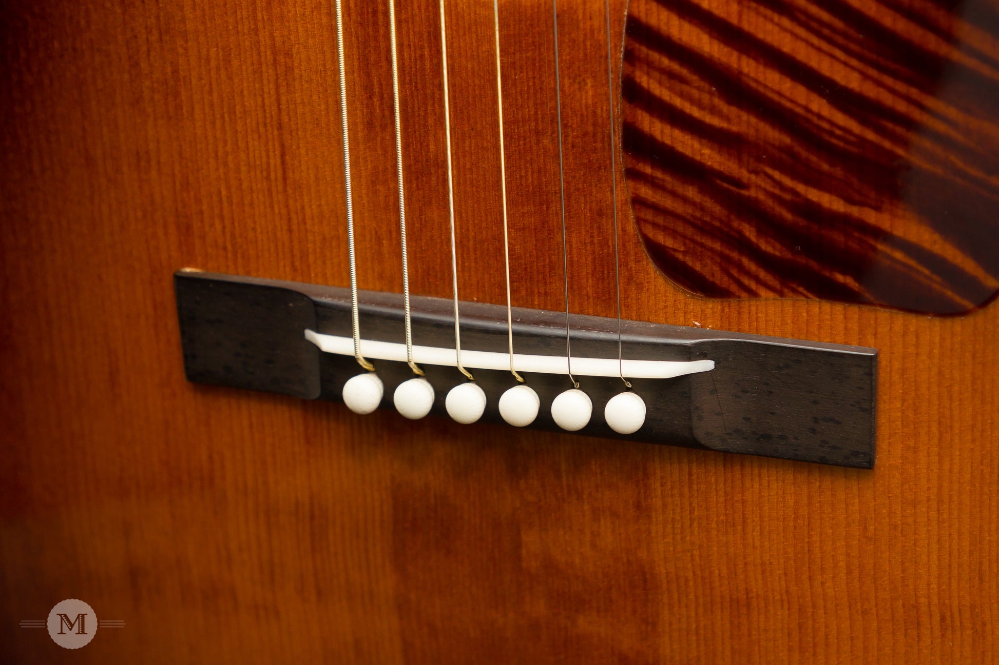 Leo Posch Acoustic Guitars - NL