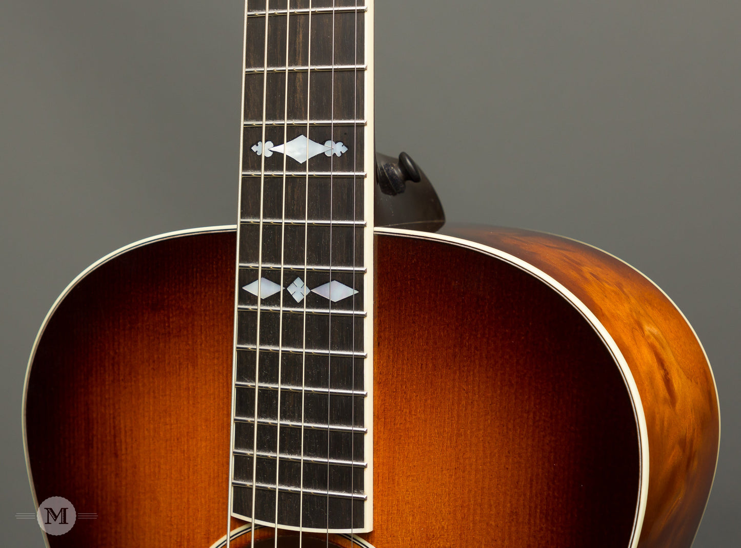 Leo Posch Acoustic Guitars - NL