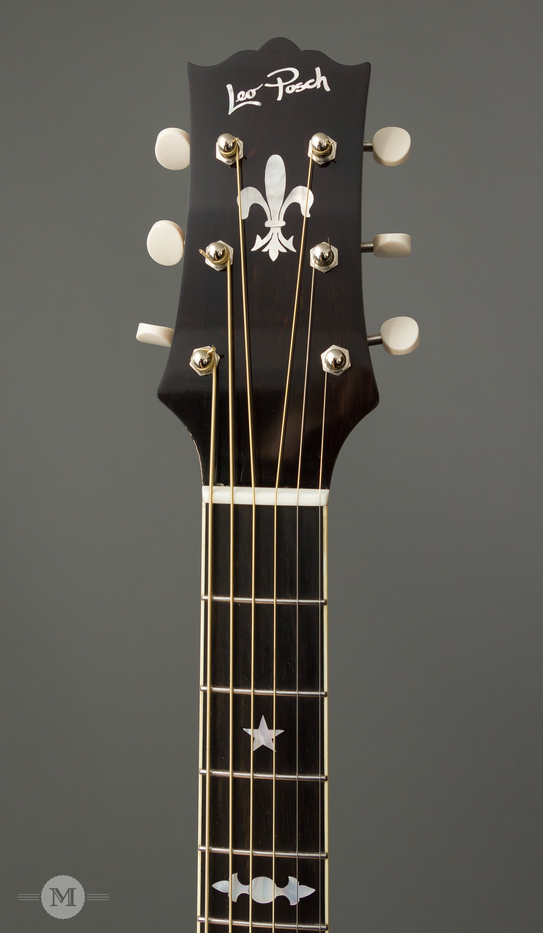 Leo Posch Acoustic Guitars - NL