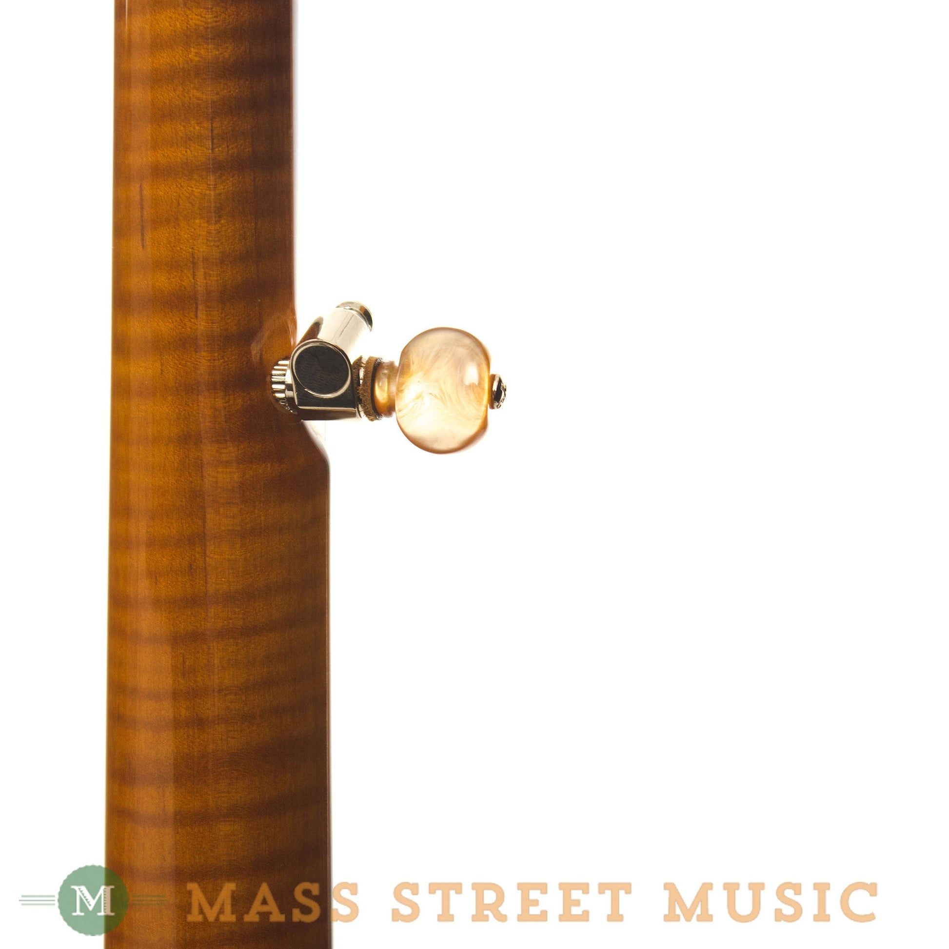 OME Banjos - Odyssey Bluegrass Resonator