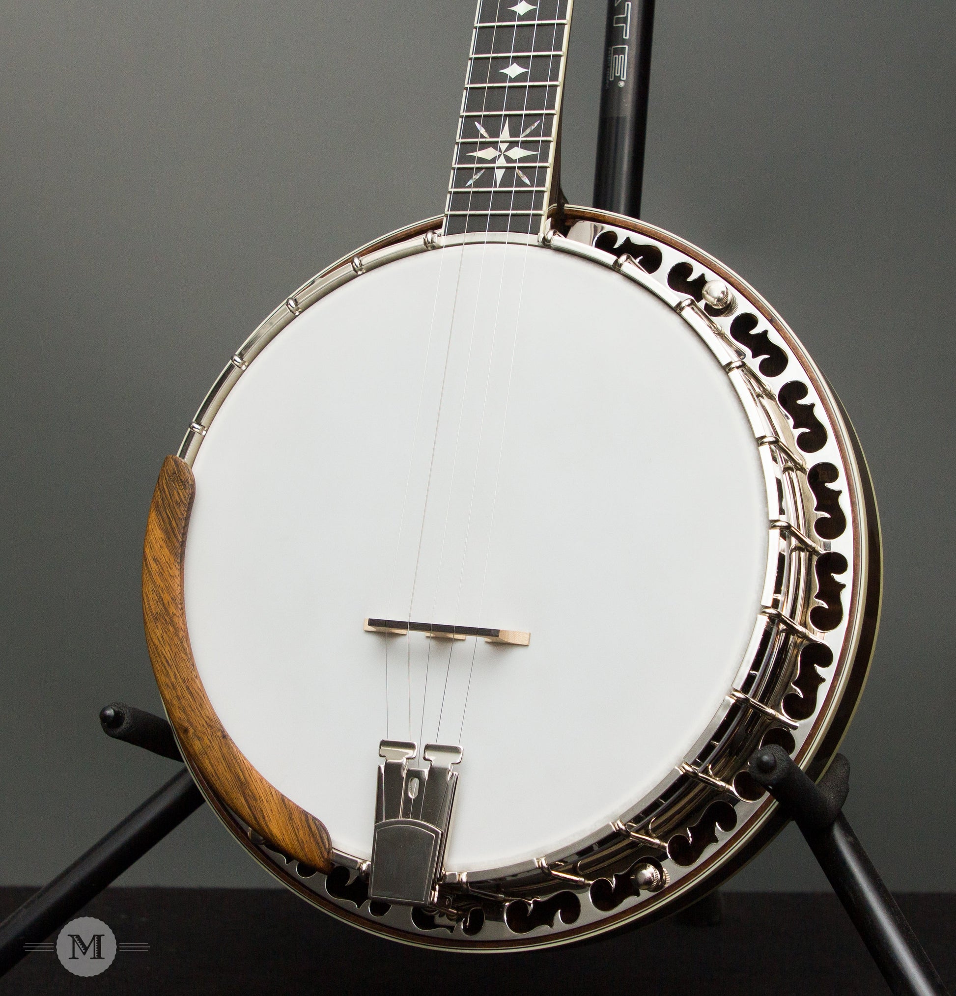 OME Banjos - Oracle Professional Series Bluegrass Banjo
