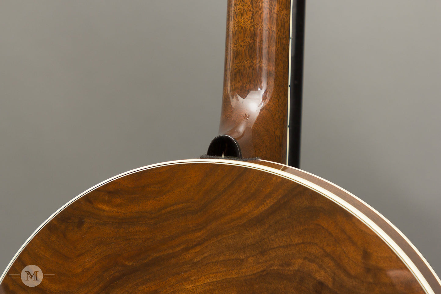 OME Banjos - Oracle Professional Series Bluegrass Banjo