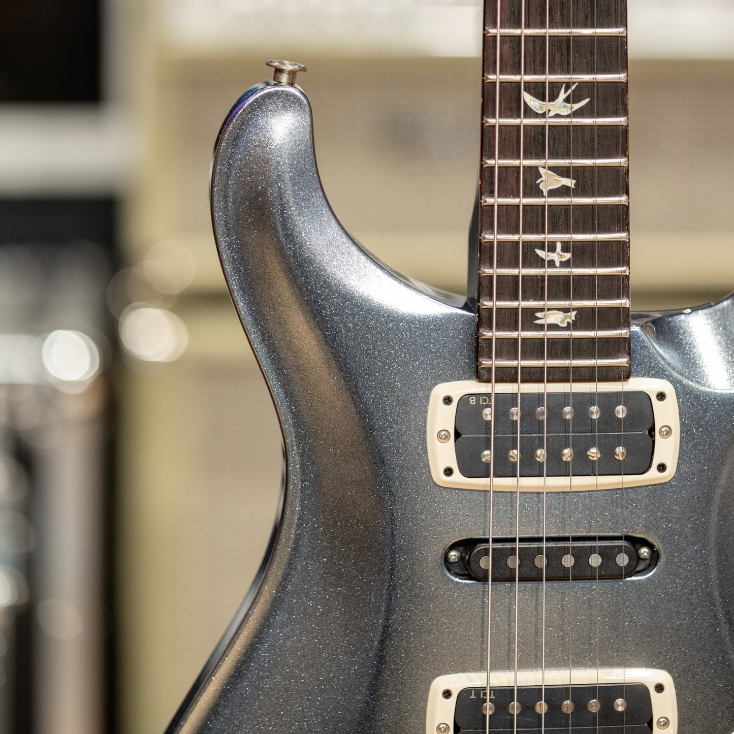 PRS Modern Eagle V - "Sprayer's Choice" Silver Metallic Sparkle