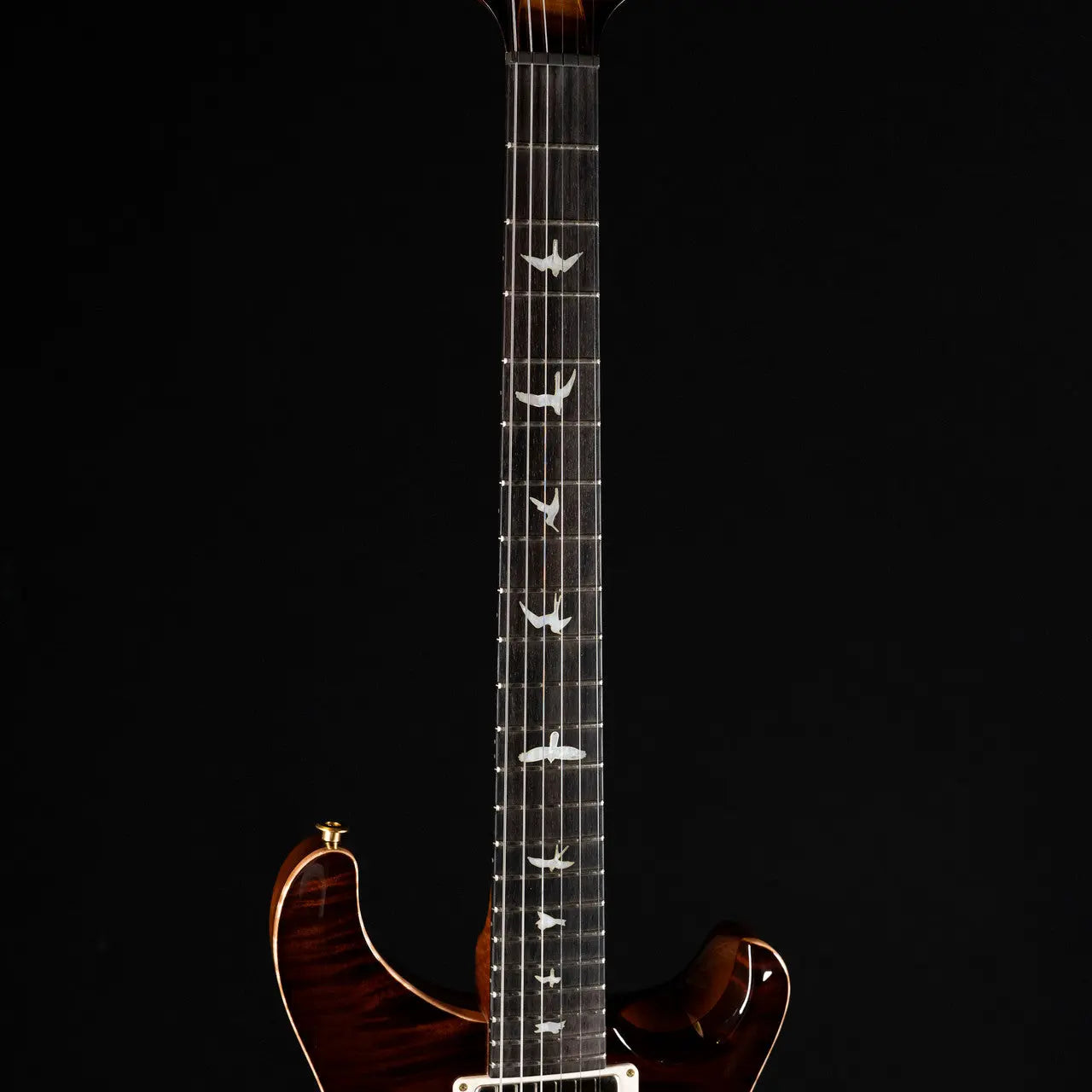 PRS Private Stock DGT Chambered Electric Guitar with Brazilian Rosewood Fretboard - McCarty Glow