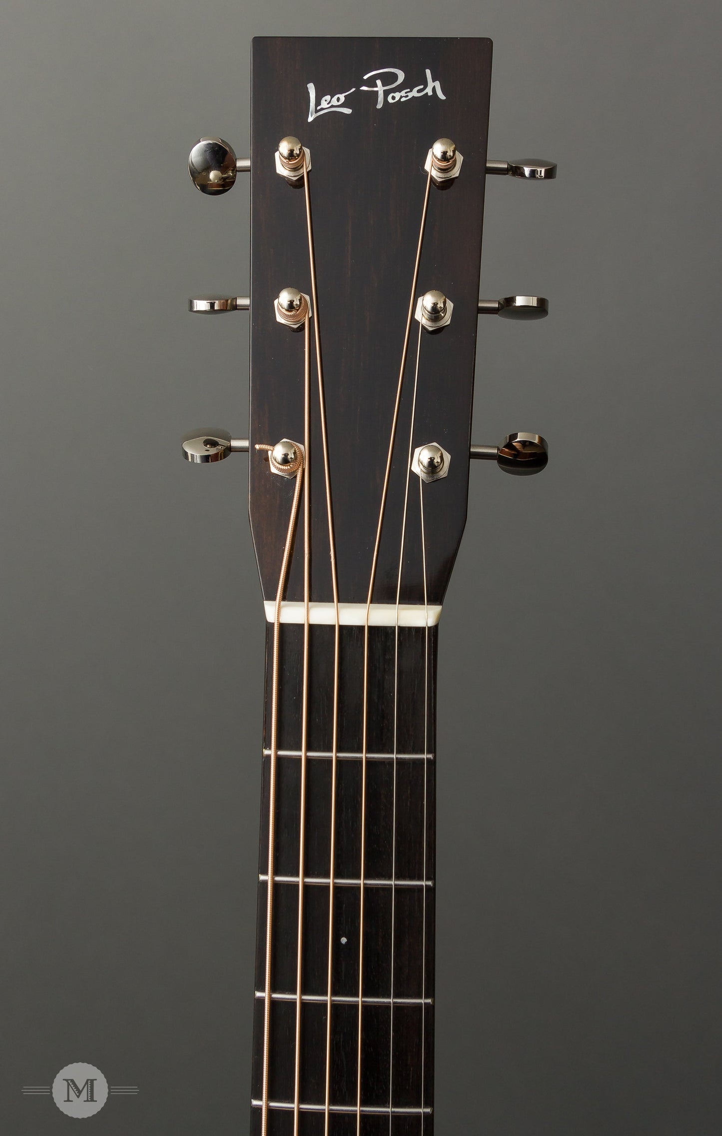 Leo Posch Acoustic Guitars - J-M