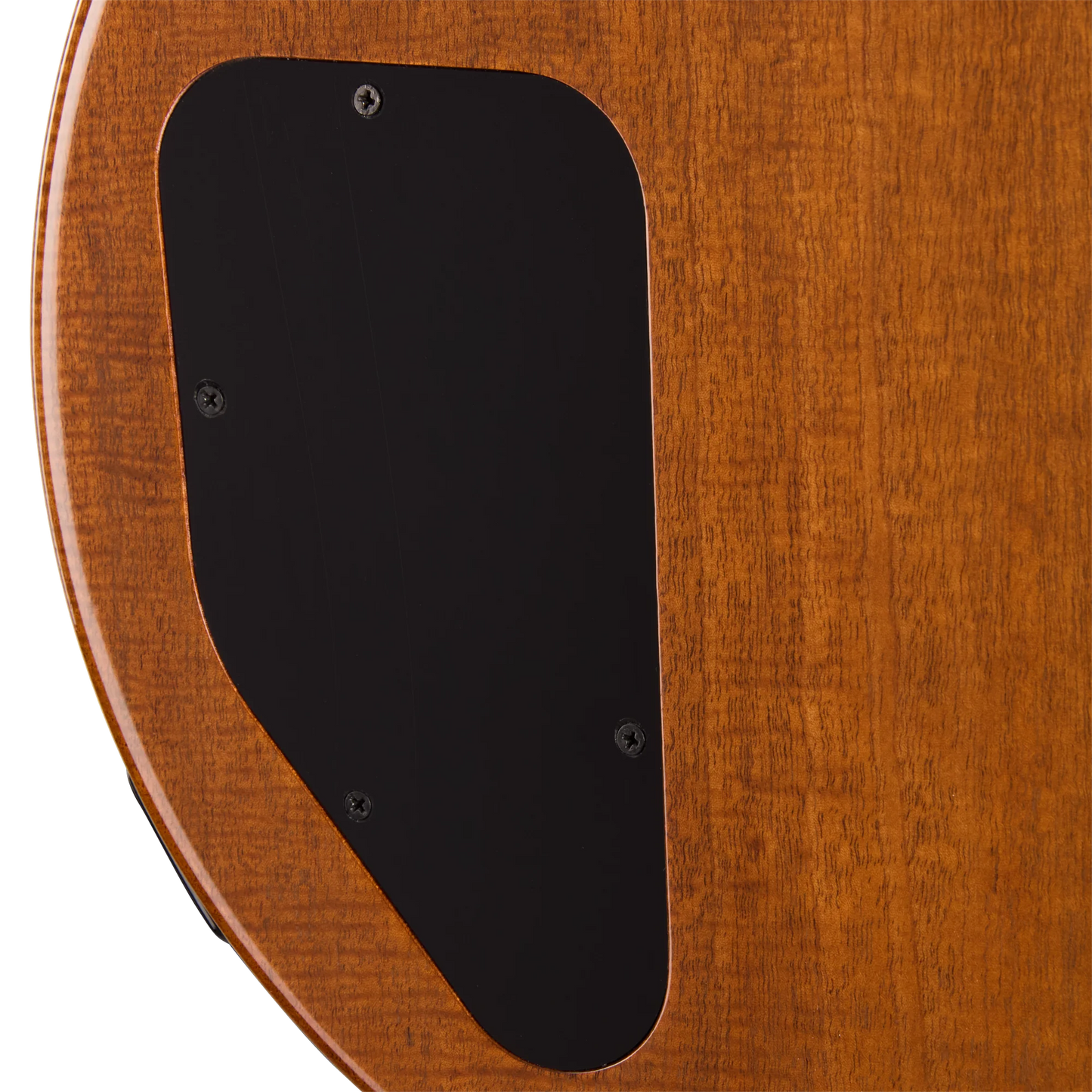 Gibson Mod™ Collection Les Paul Special Double Cut Figured, Paradise