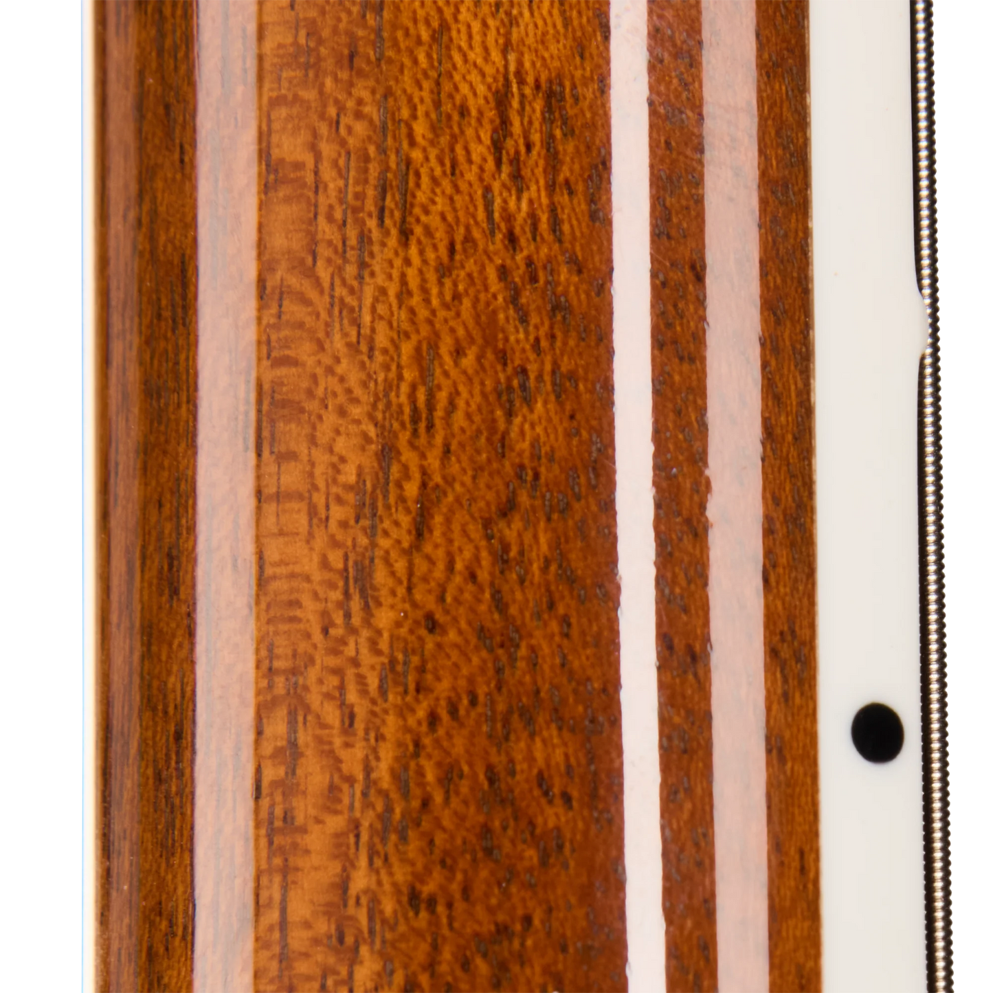 Gibson Mod™ Collection Les Paul Special Double Cut Figured, Paradise