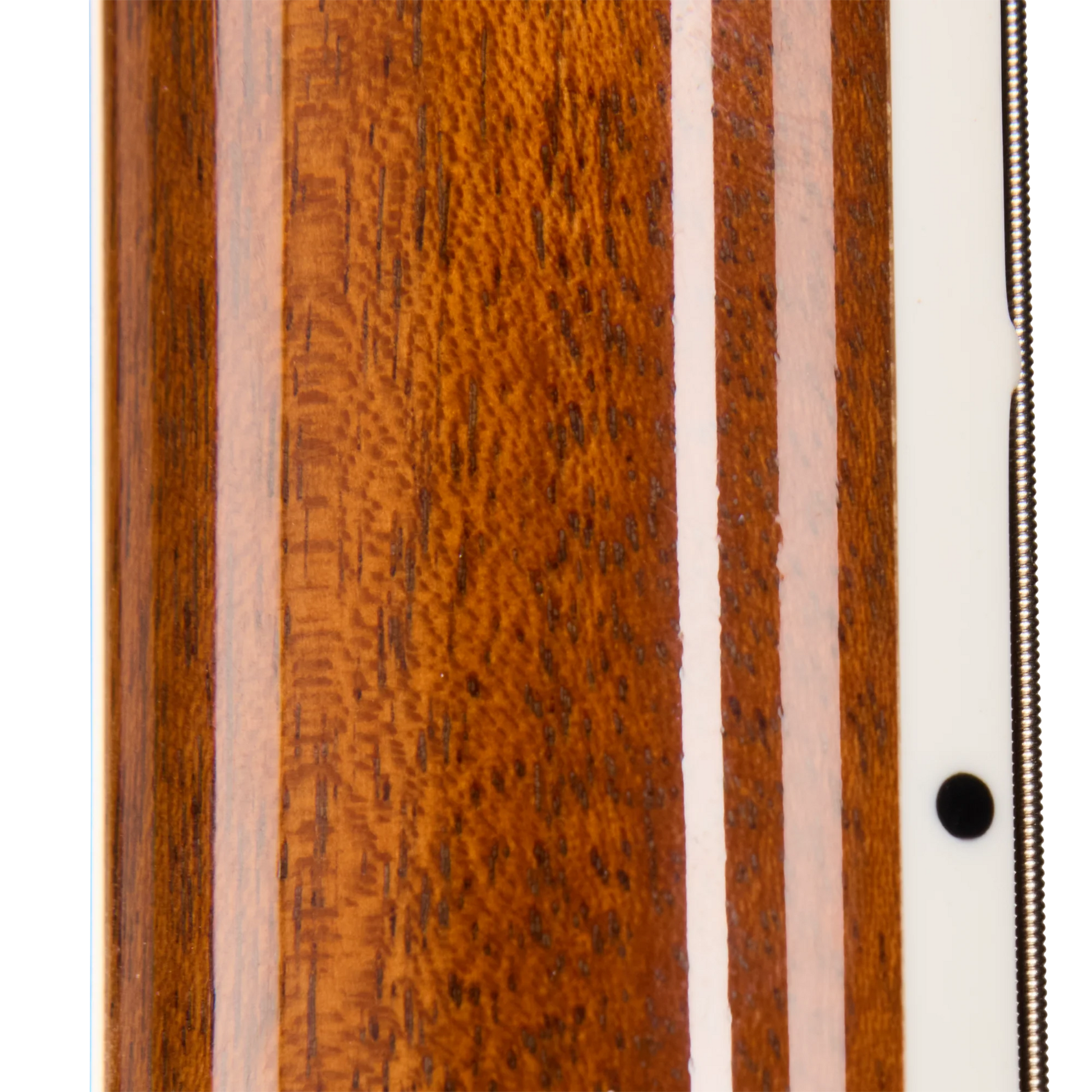 Gibson Mod™ Collection Les Paul Special Double Cut Figured, Paradise