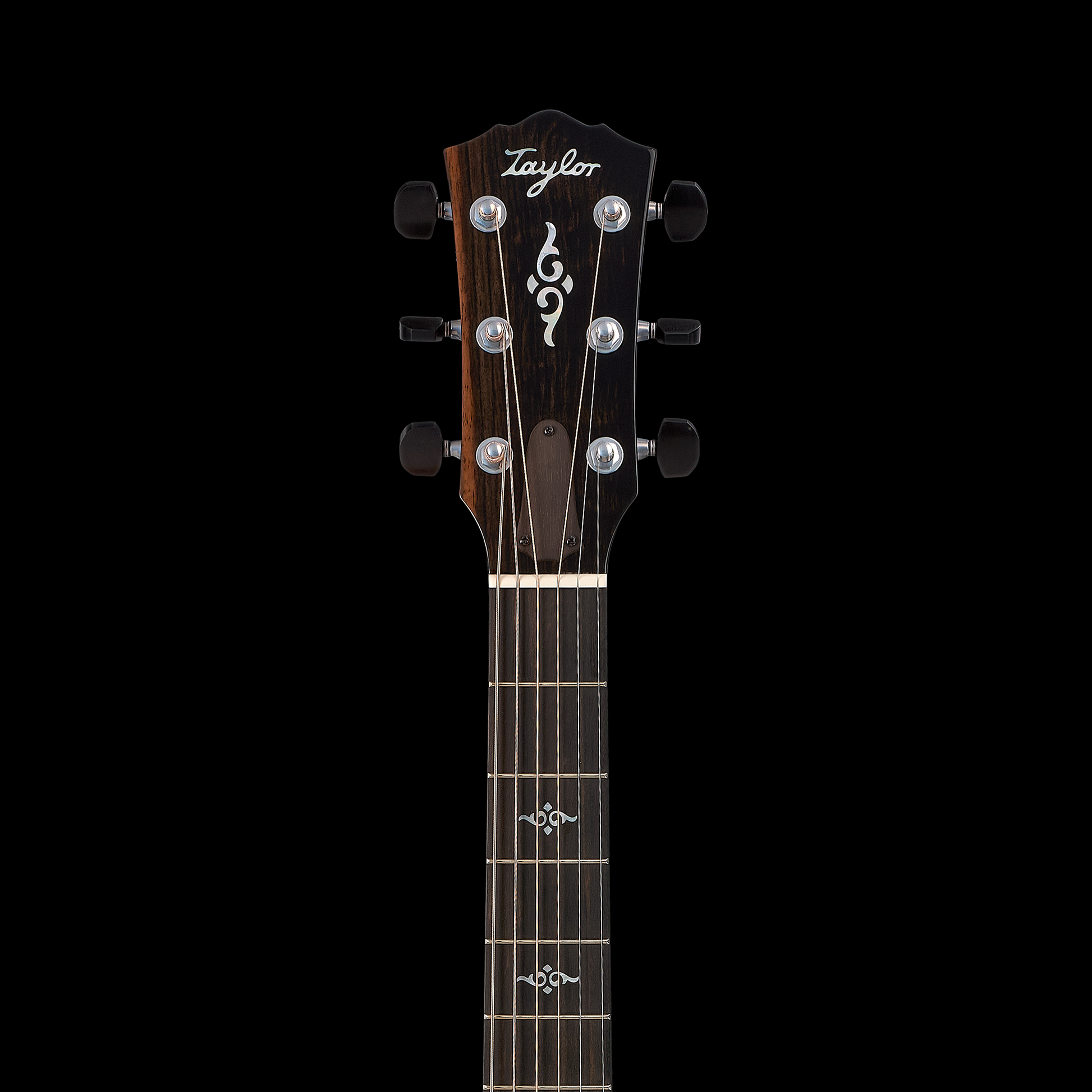 Taylor Gold Label 814e Koa - Natural