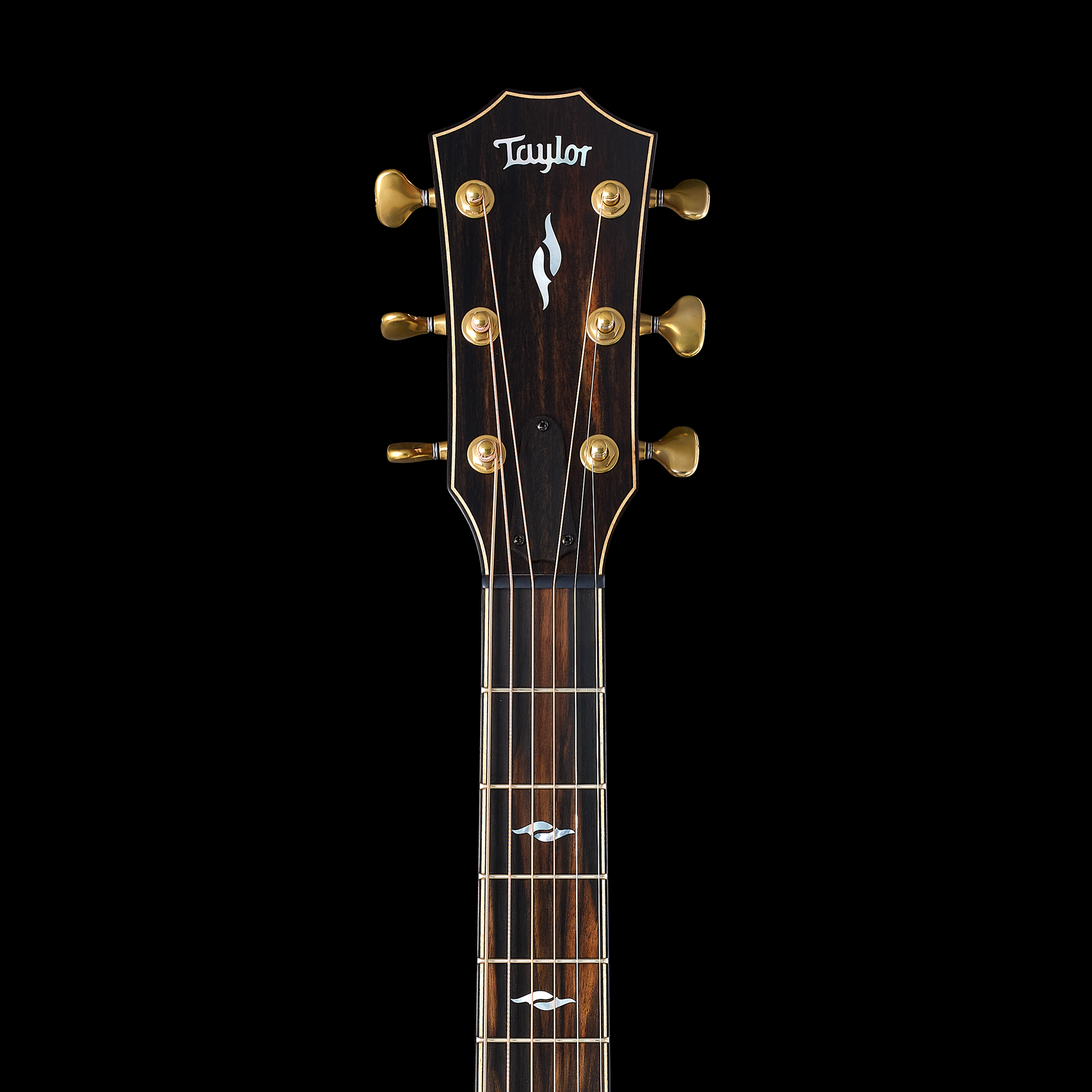 Taylor 2025 Builder’s Edition 814ce