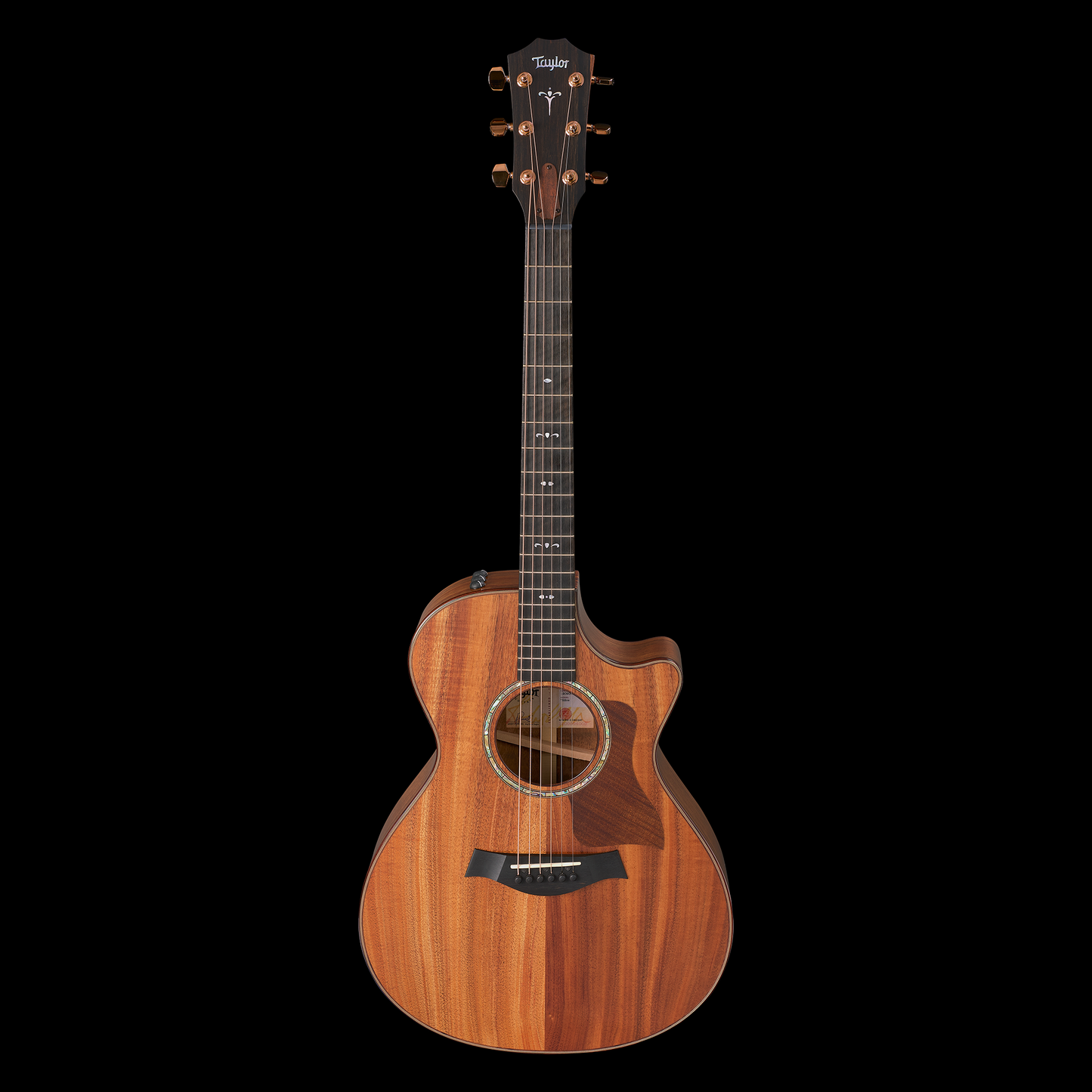 Taylor 2025 722ce