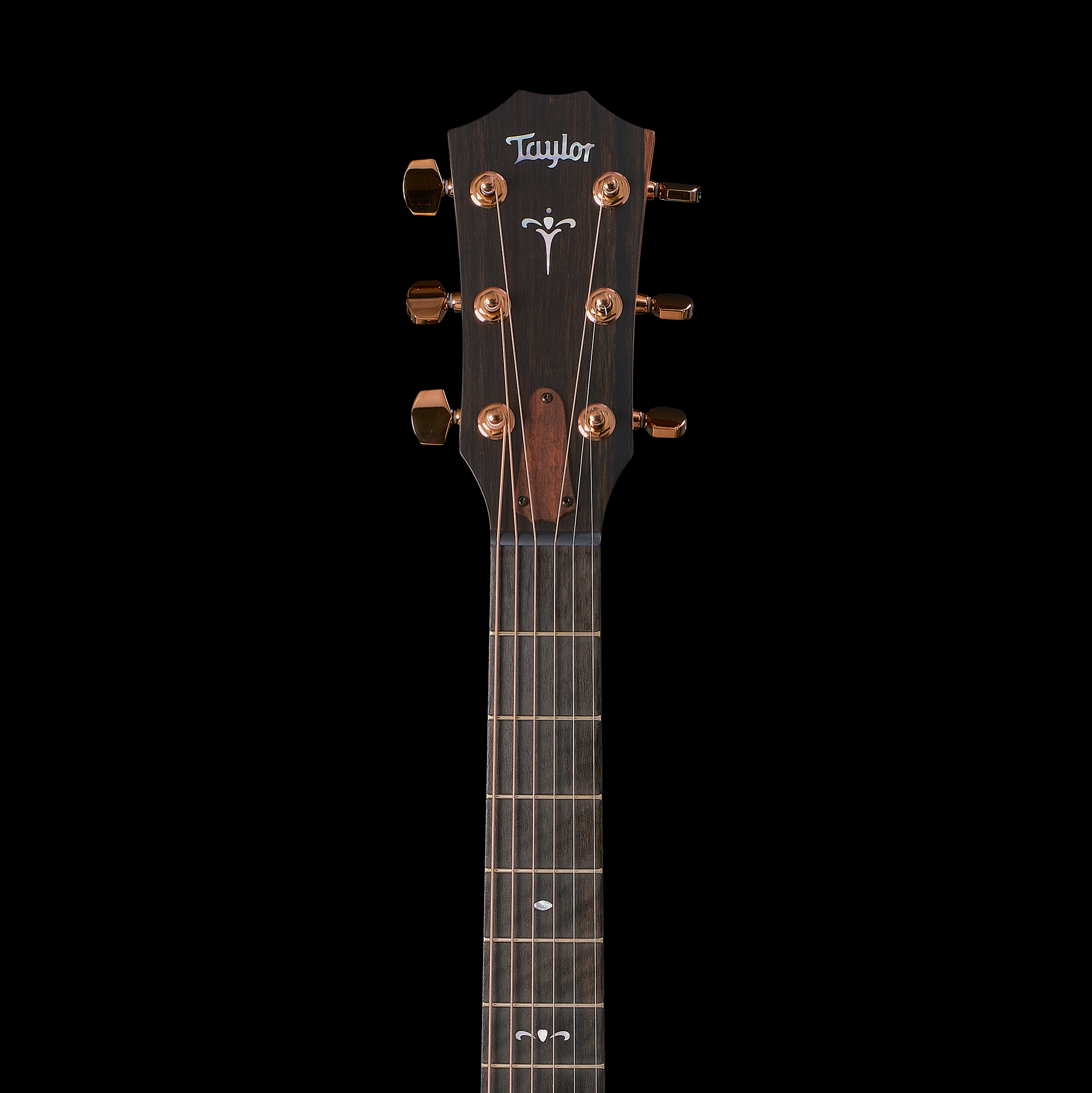 Taylor 2025 722ce