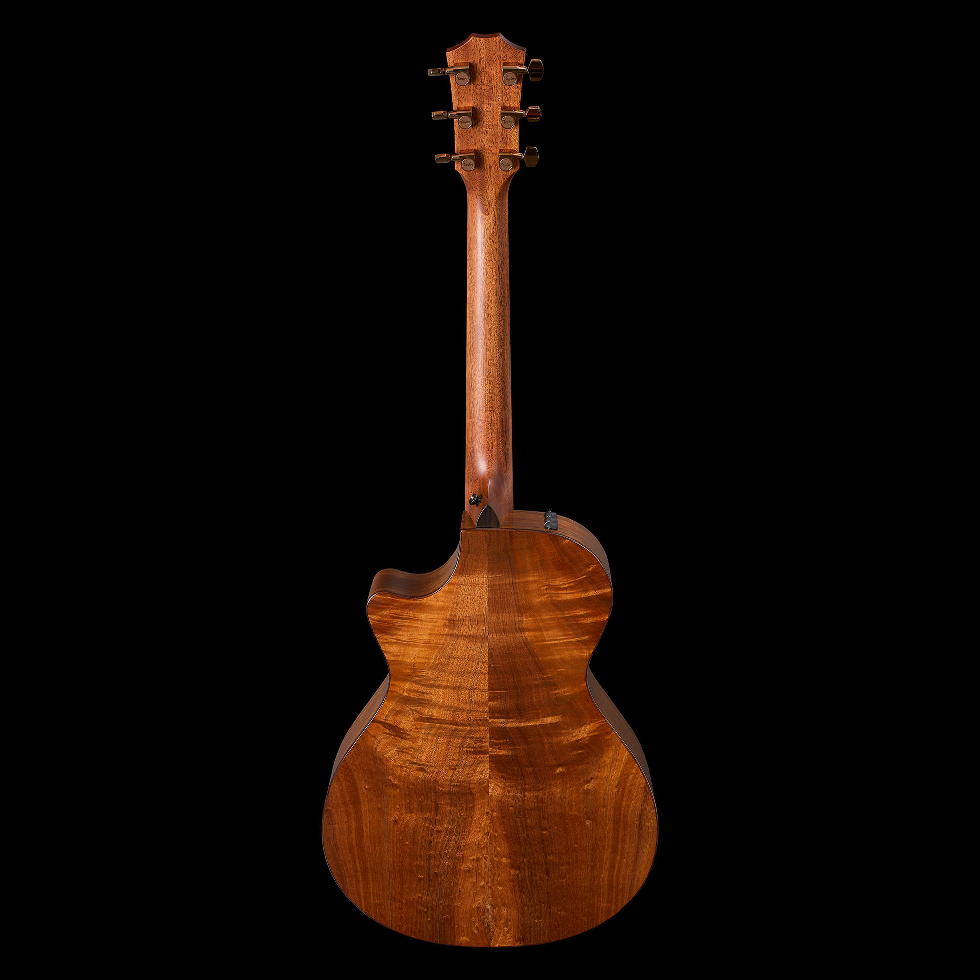Taylor 2025 722ce