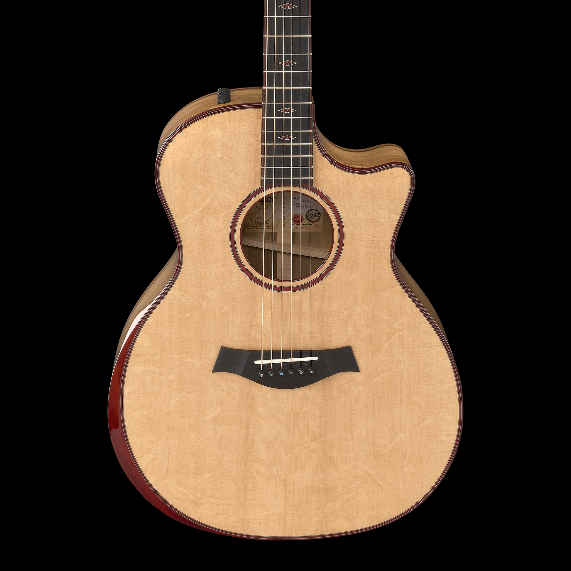 Taylor Custom Catch #6 - C14ce B5006 - Grand Auditorium, Bearclaw/Sassafras 2025