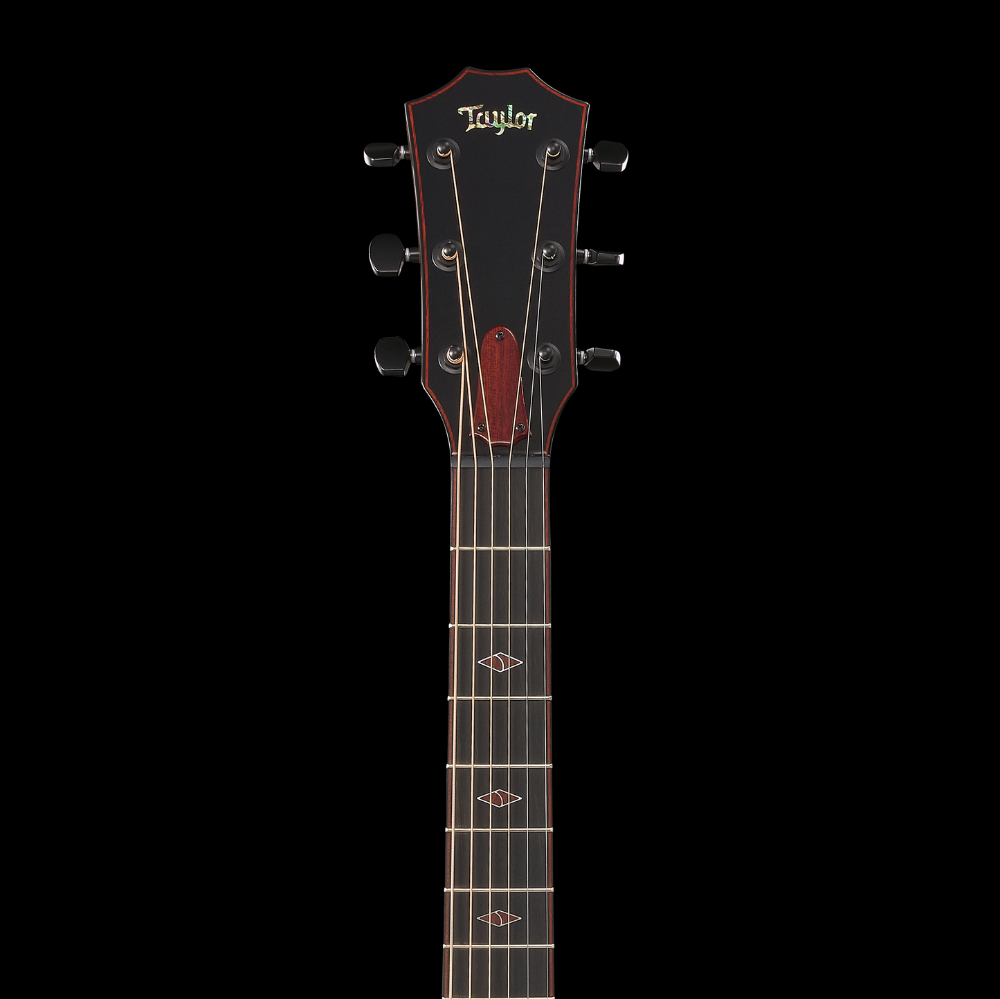 Taylor Custom Catch #6 - C14ce B5006 - Grand Auditorium, Bearclaw/Sassafras 2025