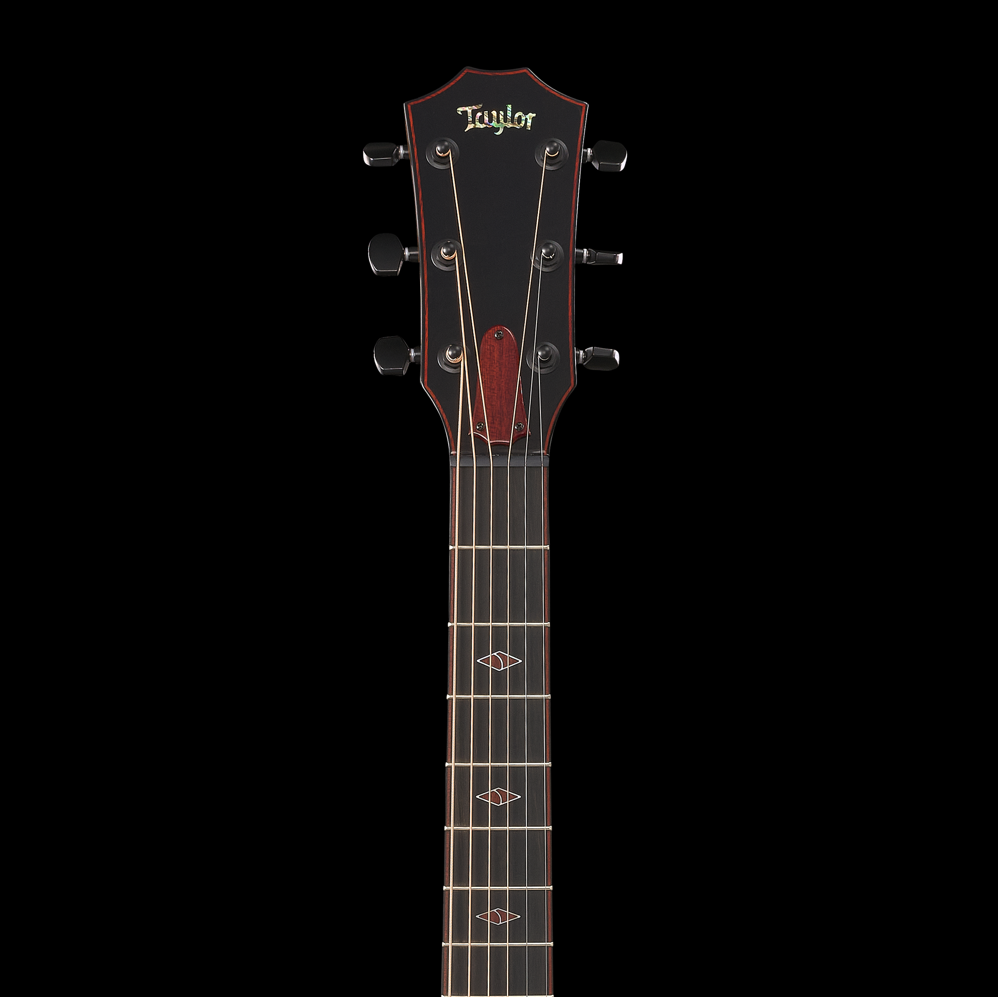 Taylor Custom Catch #6 - C14ce B5006 - Grand Auditorium, Bearclaw/Sassafras 2025