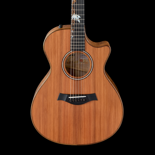 Taylor Custom Catch #16 - C12ce "Amber Tide" - Dark Natural/Quilt Back 2025