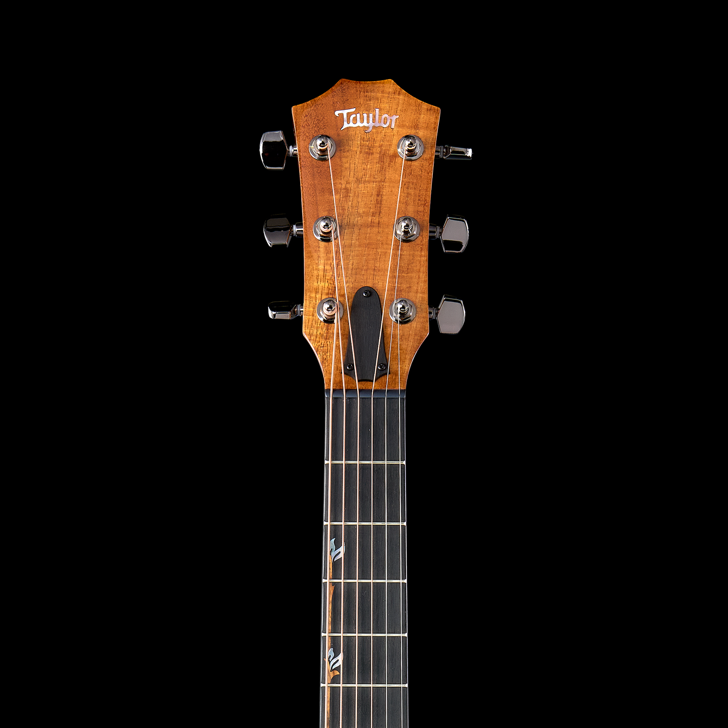 Taylor Custom Catch #16 - C12ce "Amber Tide" - Dark Natural/Quilt Back 2025