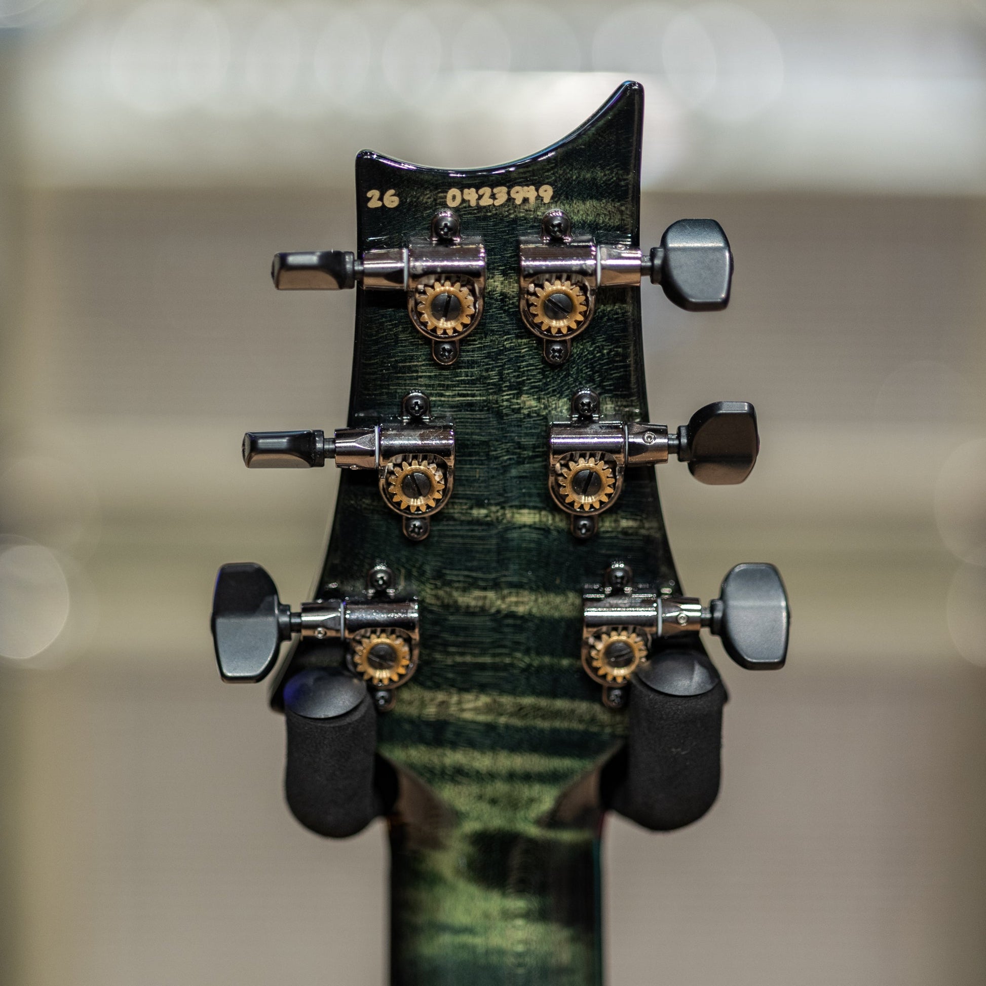 PRS Wood Library Special Semi-Hollow Artist Top - Private Stock Sage