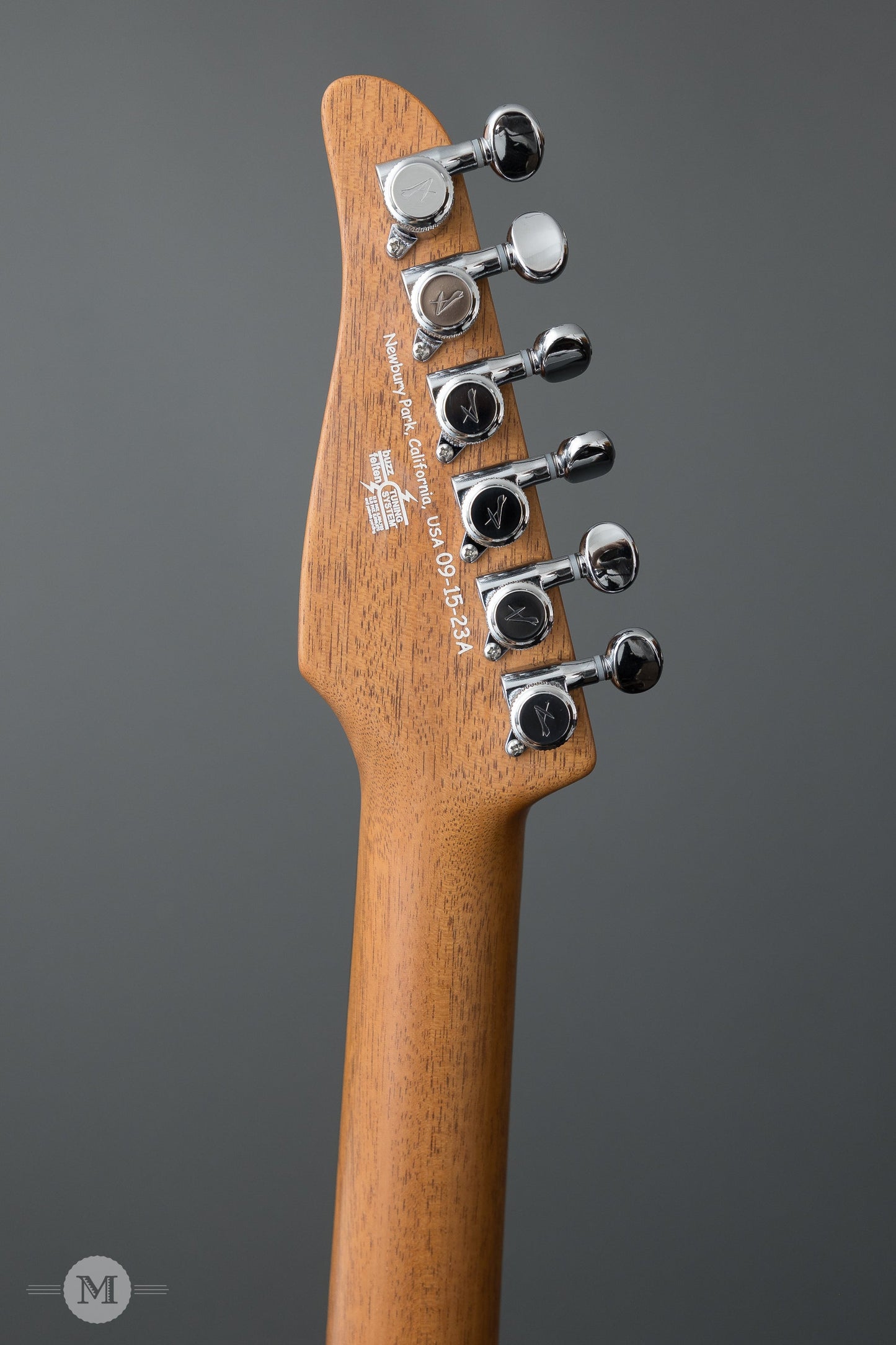 Tom Anderson Electric Guitars - Raven Superbird - Tinted Natural