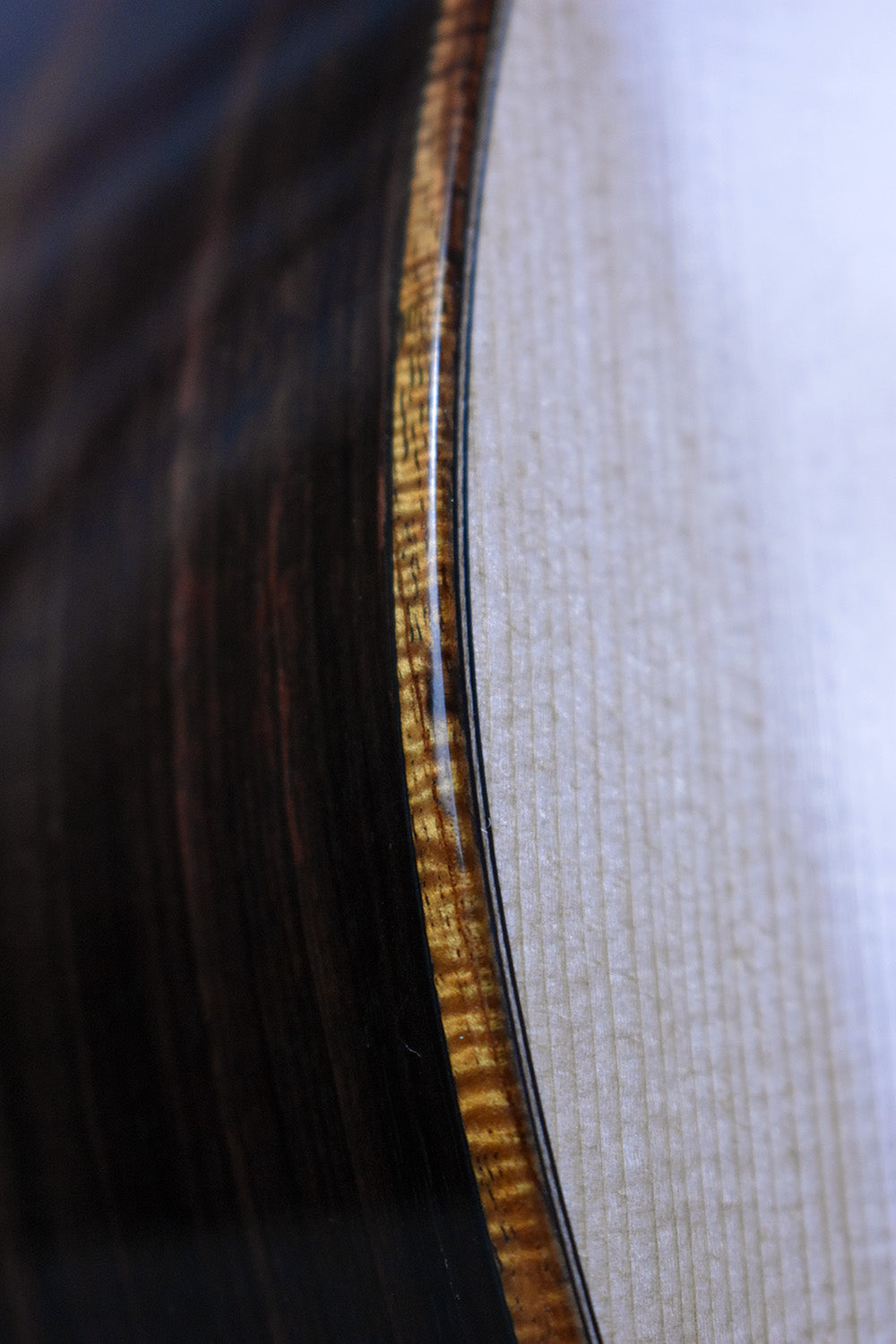 Santa Cruz D Pre-War w/ Koa Binding
